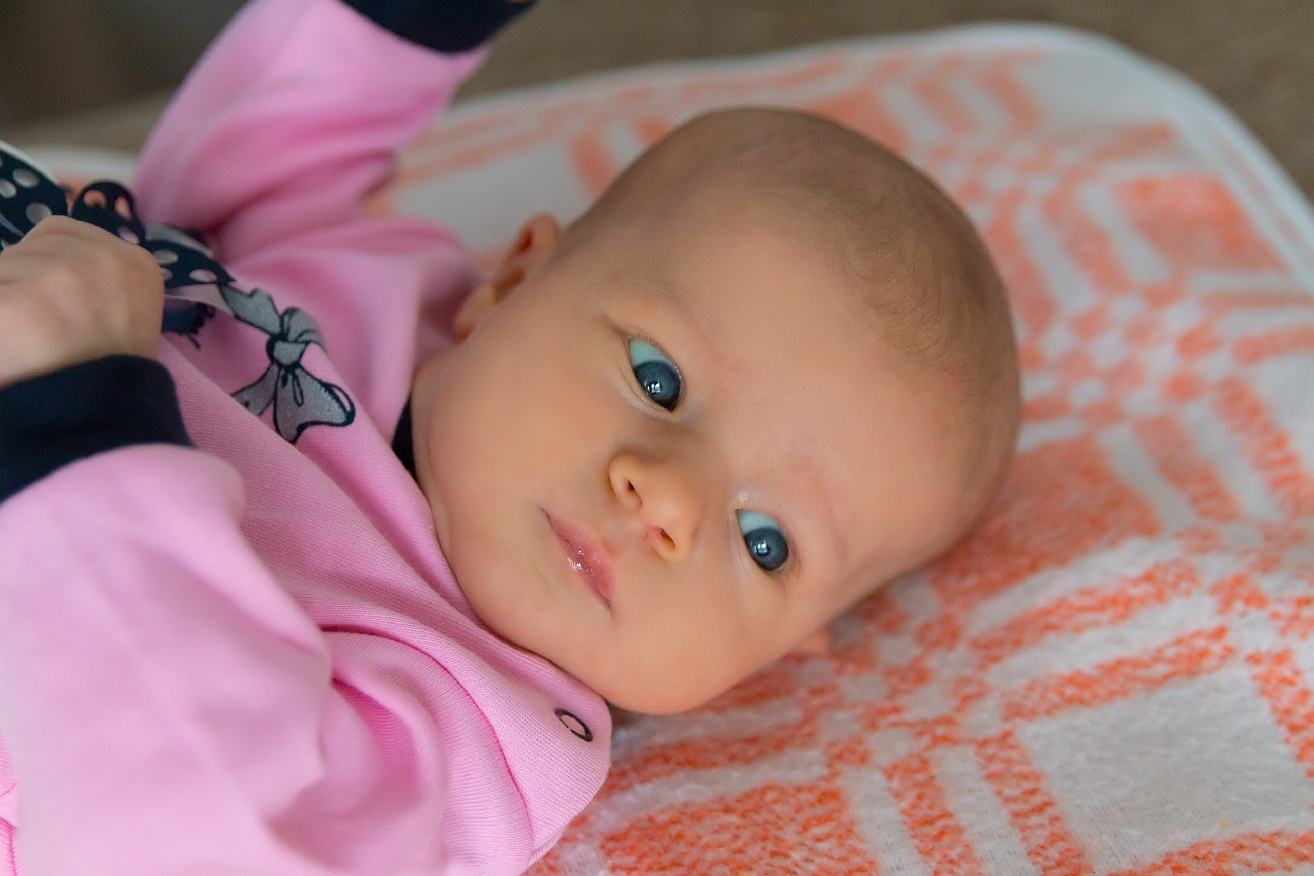 Маленькая Дашенька. Семейный и детский фотограф в Москве Екатерина Лебедева