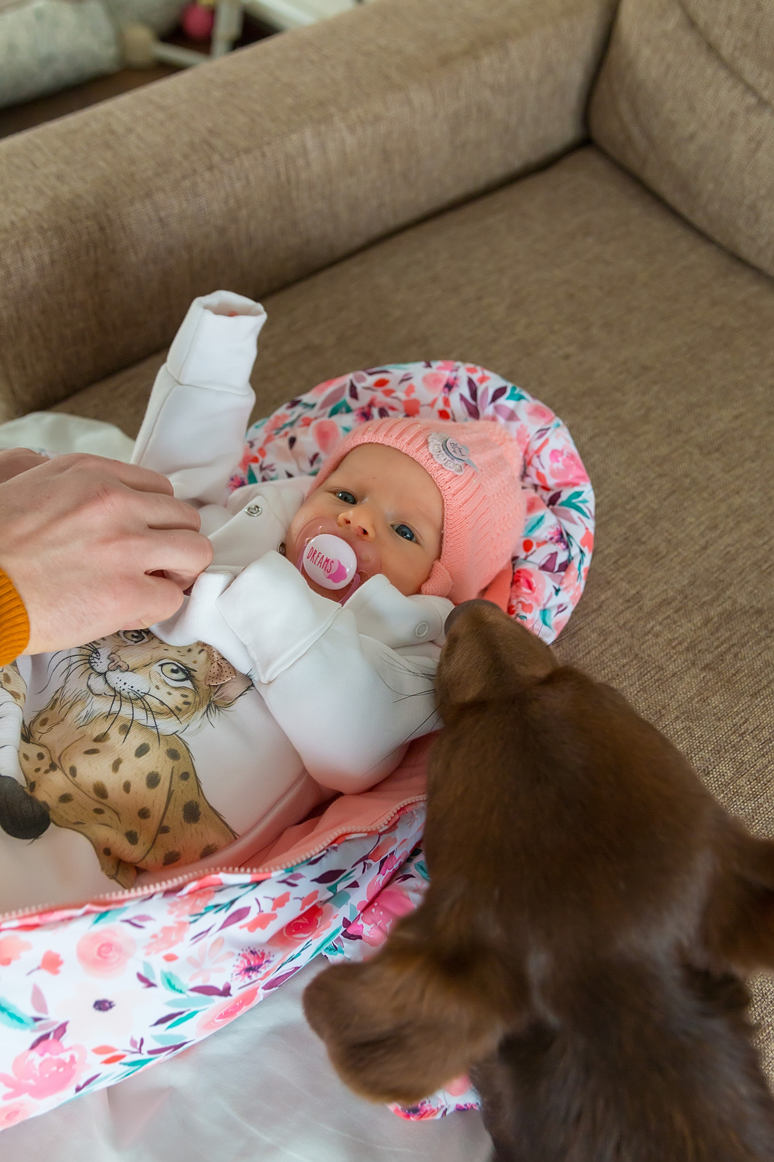 Маленькая Дашенька. Семейный и детский фотограф в Москве Екатерина Лебедева