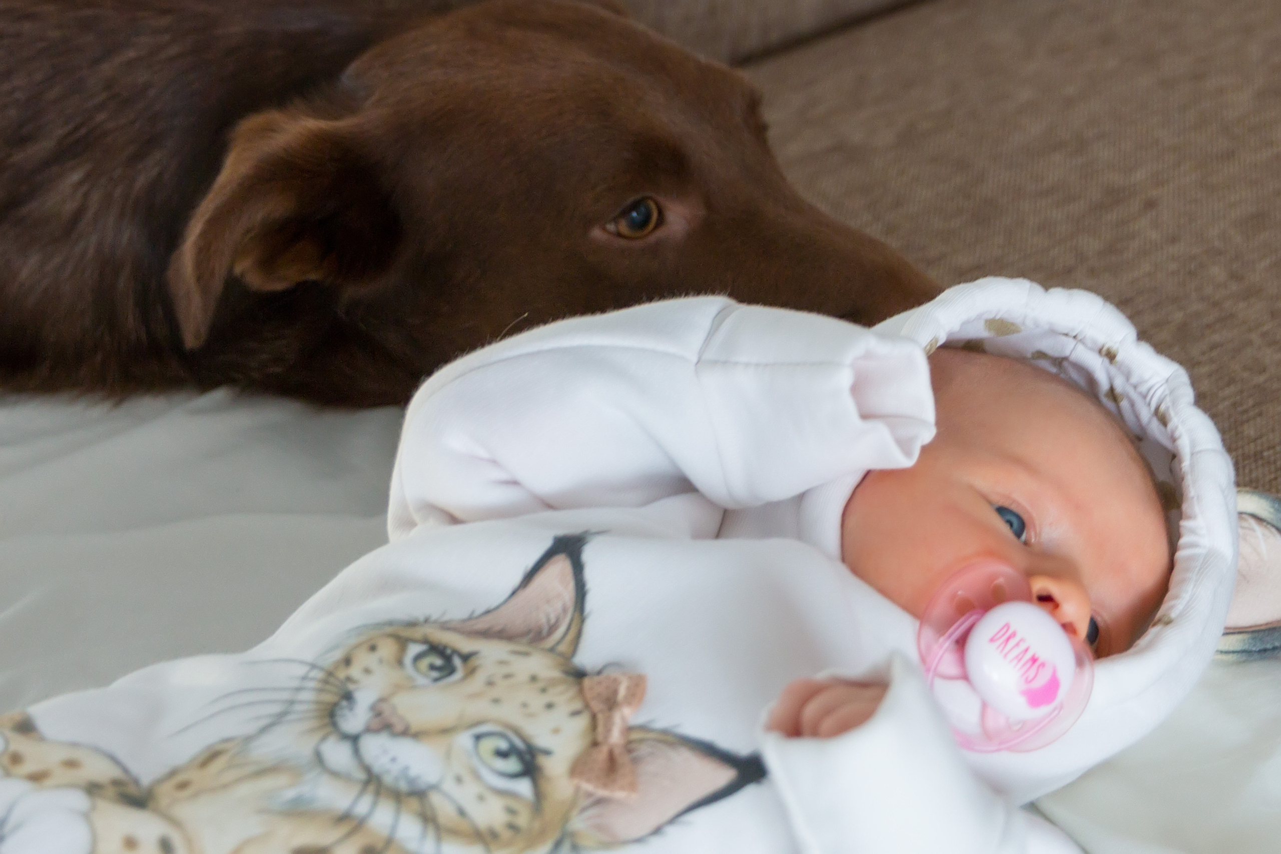 Маленькая Дашенька. Семейный и детский фотограф в Москве Екатерина Лебедева