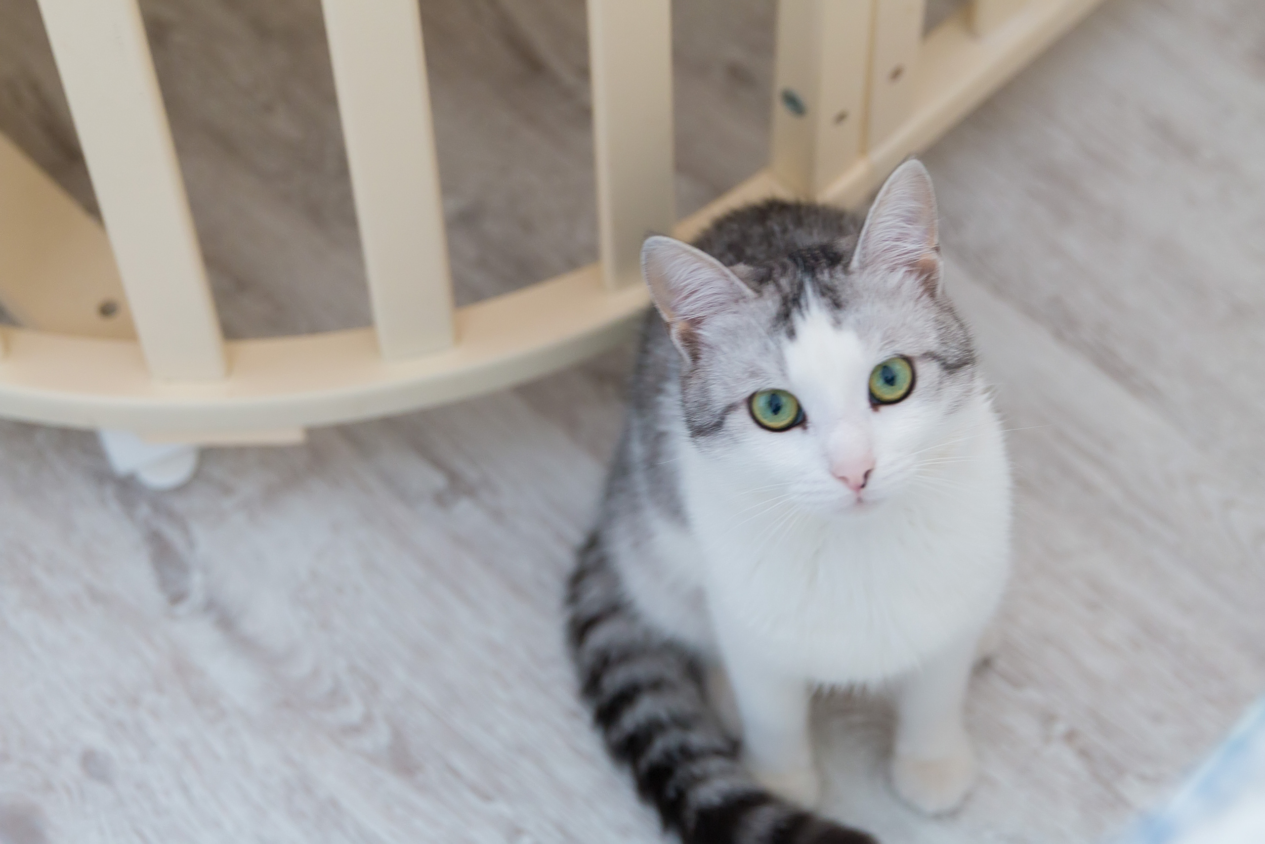 Маленькая Дашенька. Семейный и детский фотограф в Москве Екатерина Лебедева