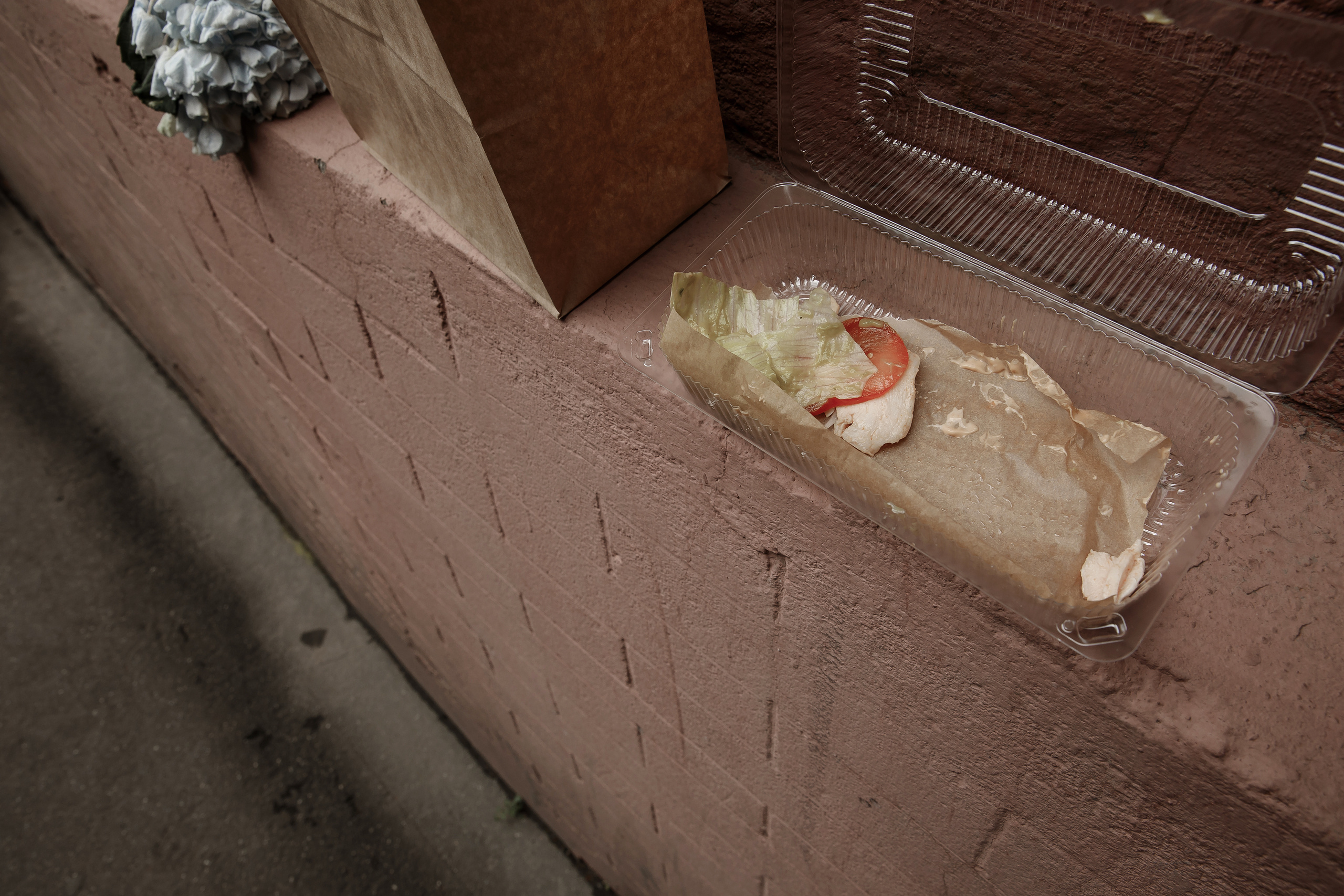 Женя + Стася. Свадебный фотограф Колесников Антон