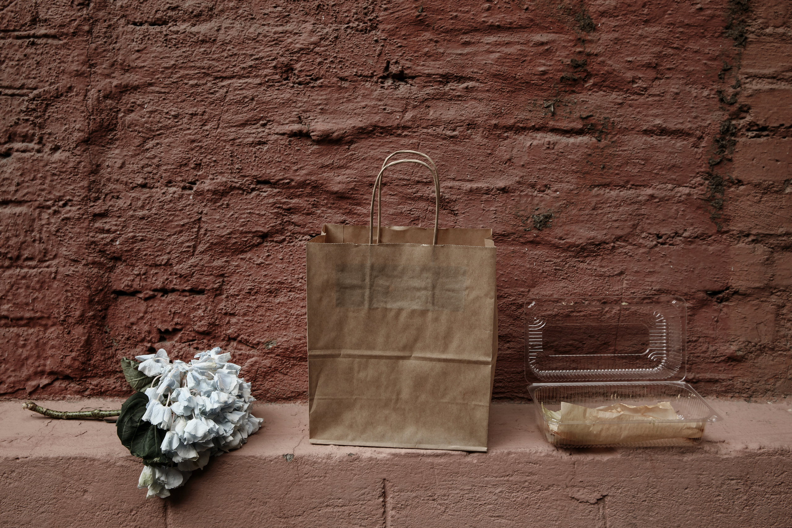 Женя + Стася. Свадебный фотограф Колесников Антон