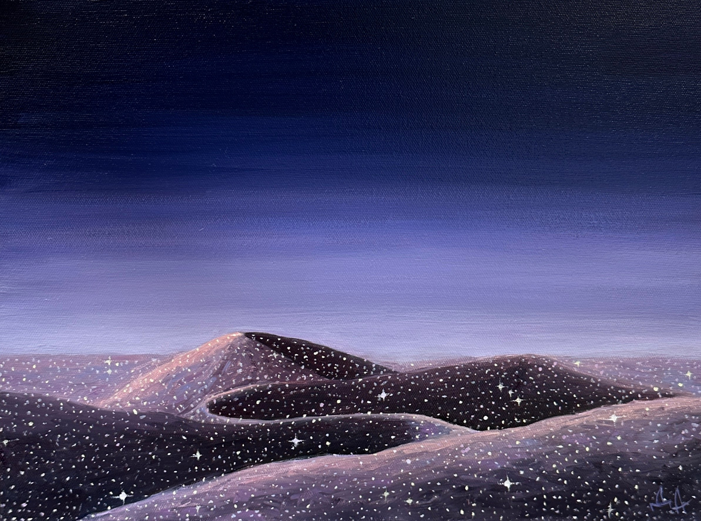 Художник  Александра Данилова. СОАВТОРЫ