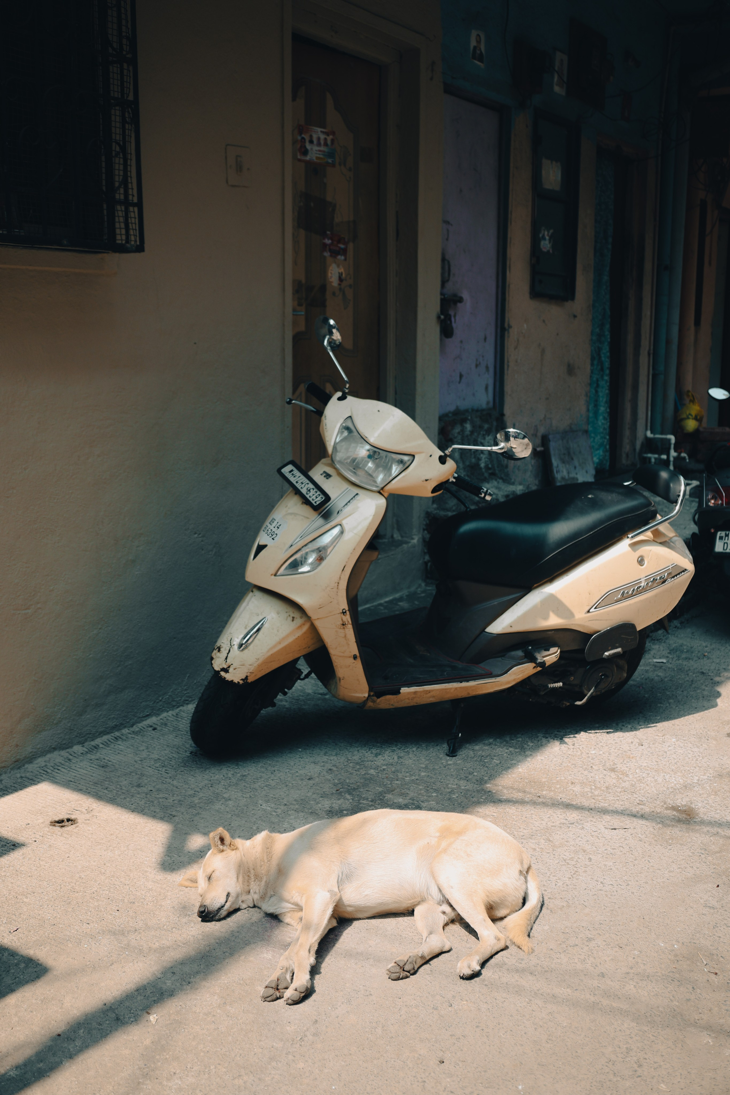 India. Фотограф в Москве