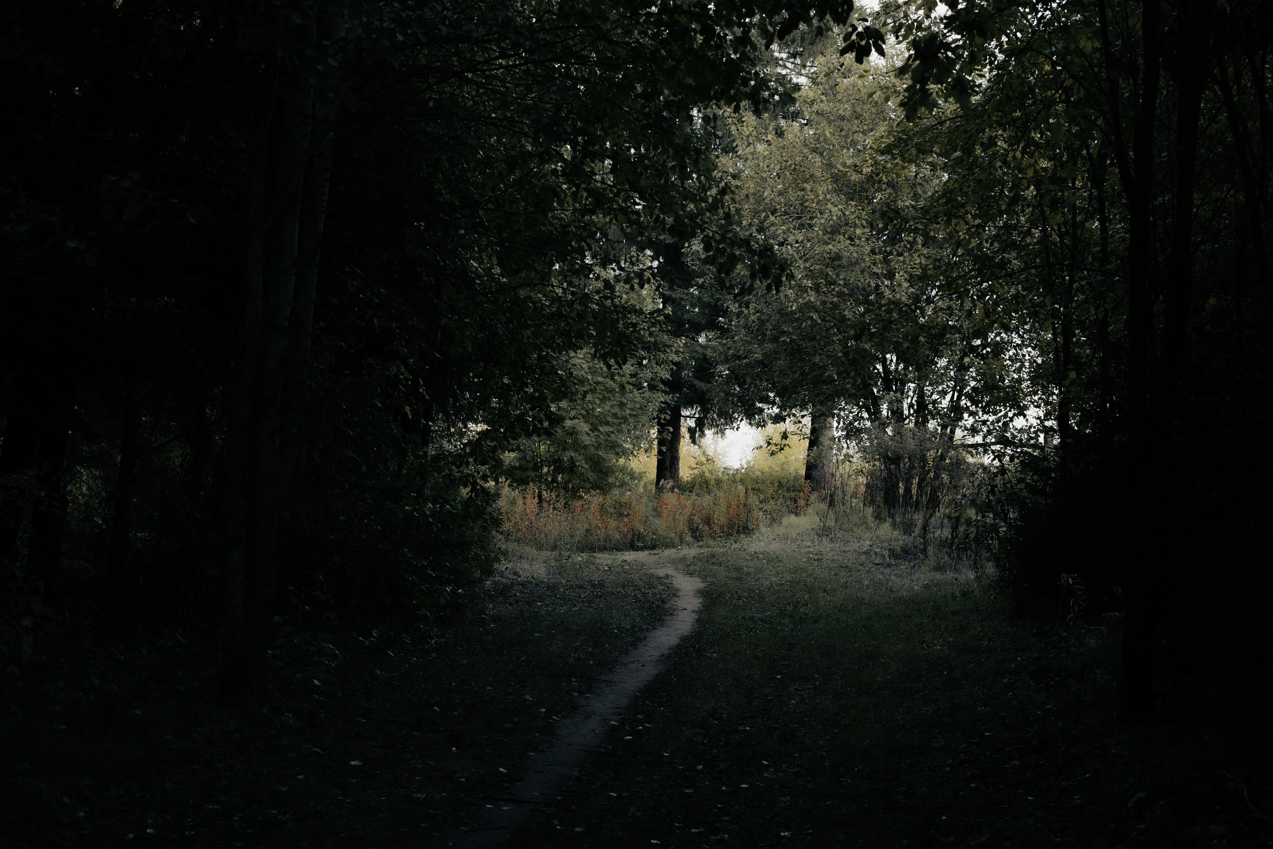 Пейзаж. Фотограф Александр Тихонов