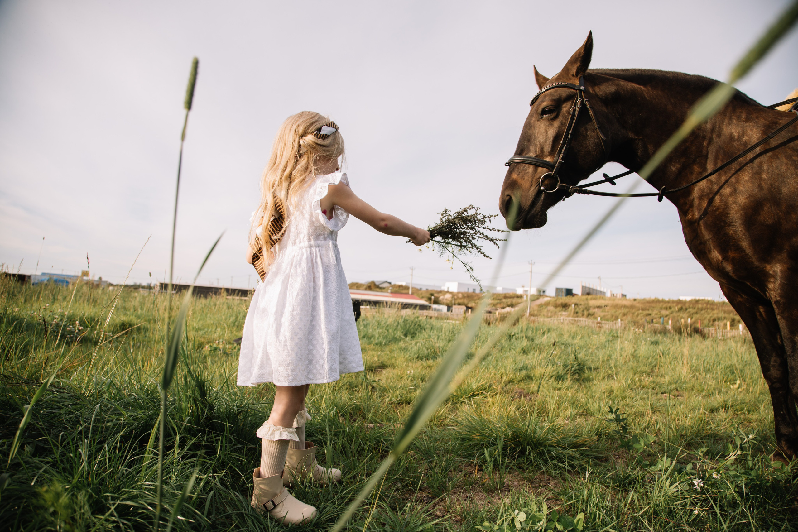 Семейные съемки. Фотограф и видеограф в Санкт-Петербурге Прохорова Надежда
