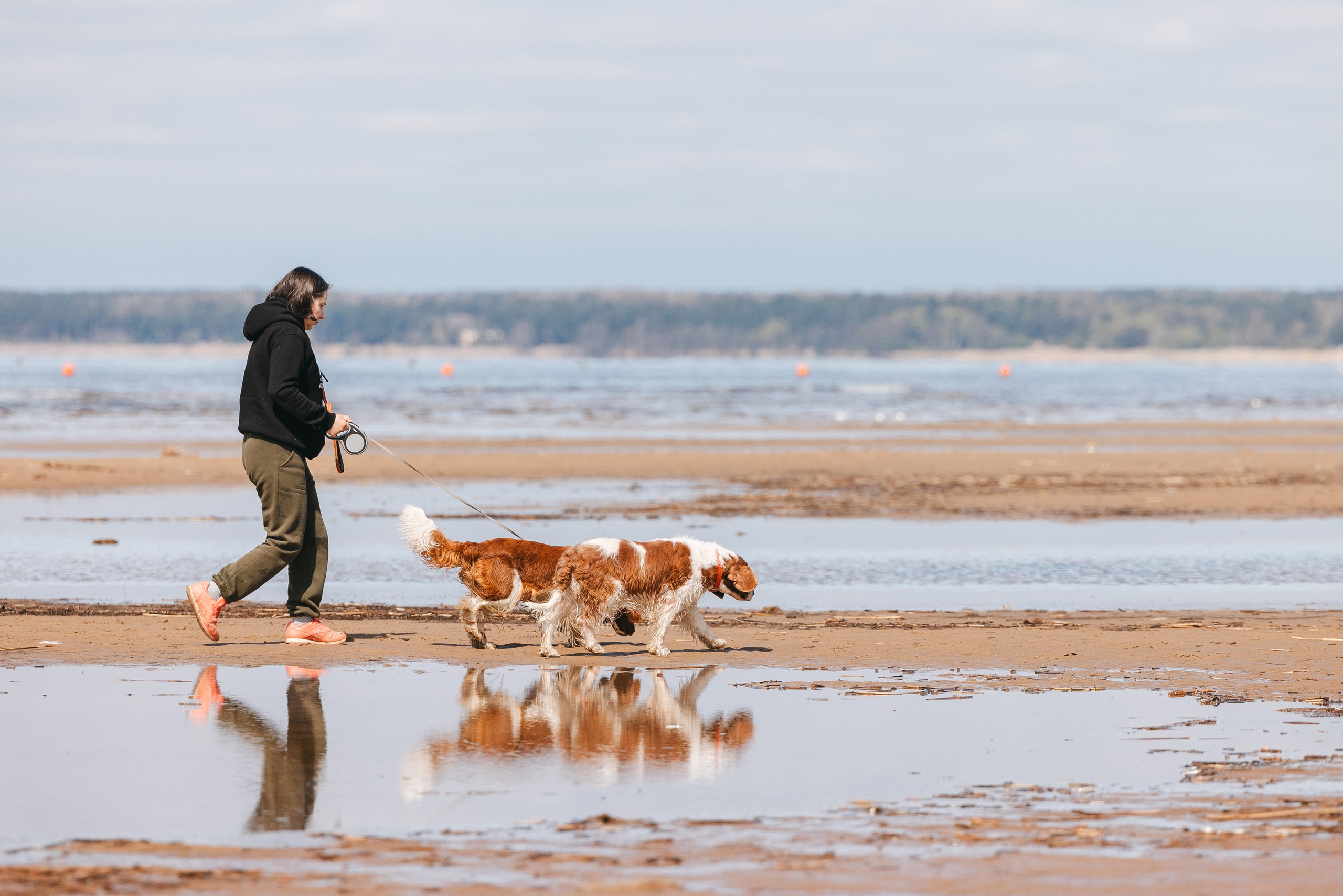 Спанимания. Фотограф анималист Осипчикова Мария