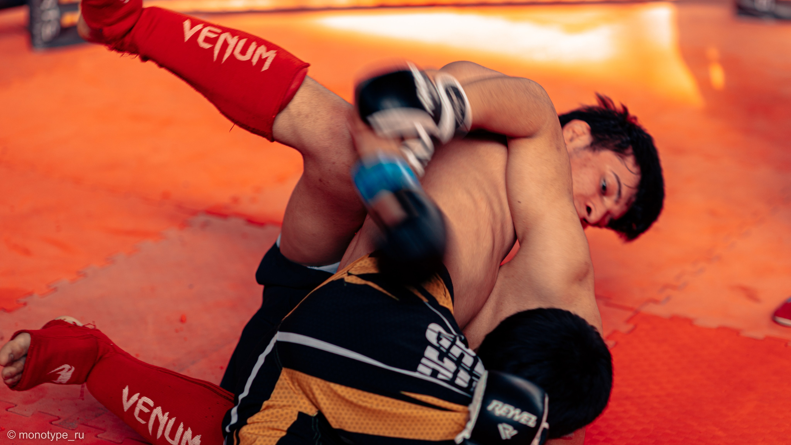 MMA. Бойцовский турнир