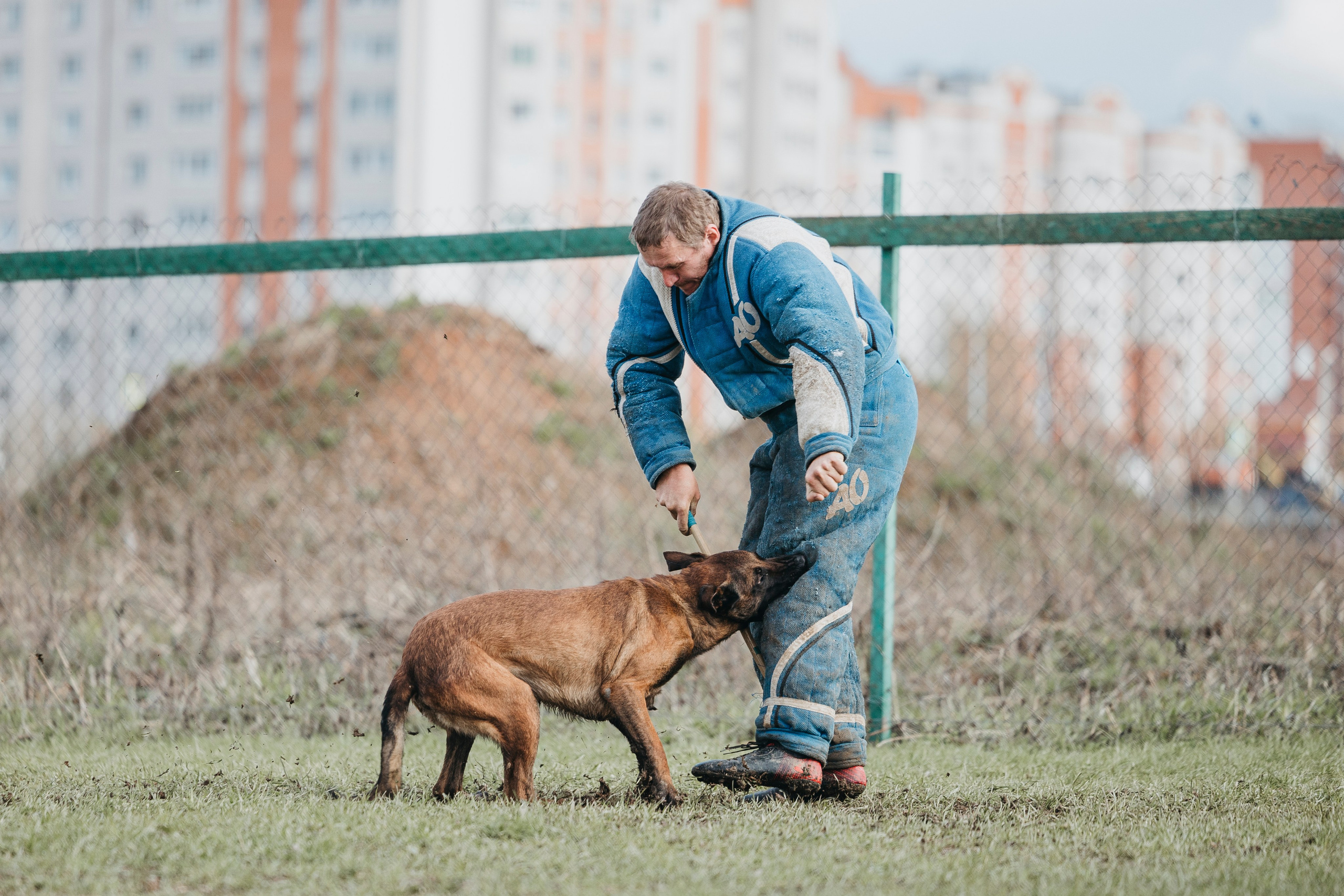 09.05.25 Вологда соревнования. Фотограф-анималист Анна Маринич