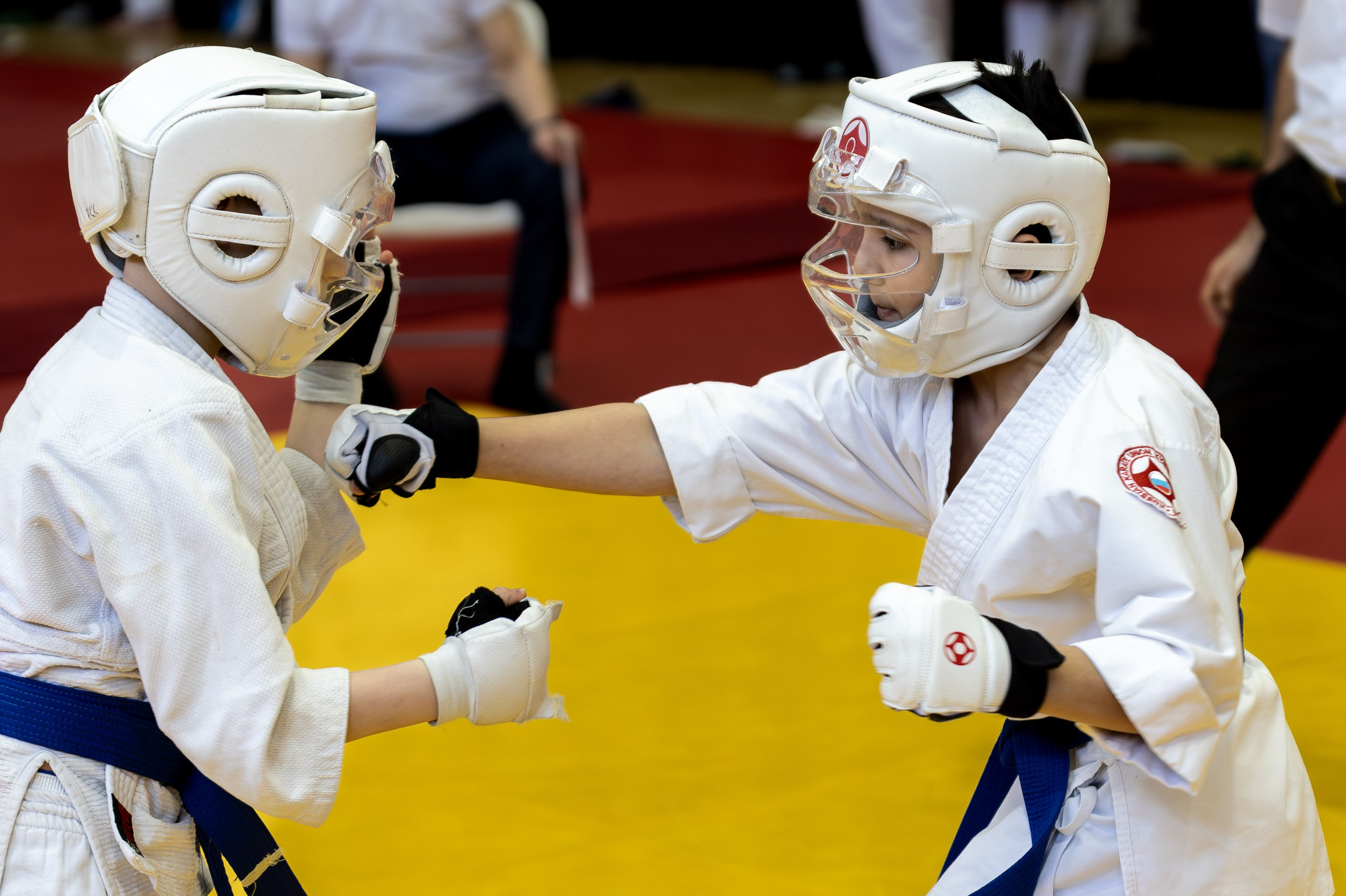 Карате кумите. Главная