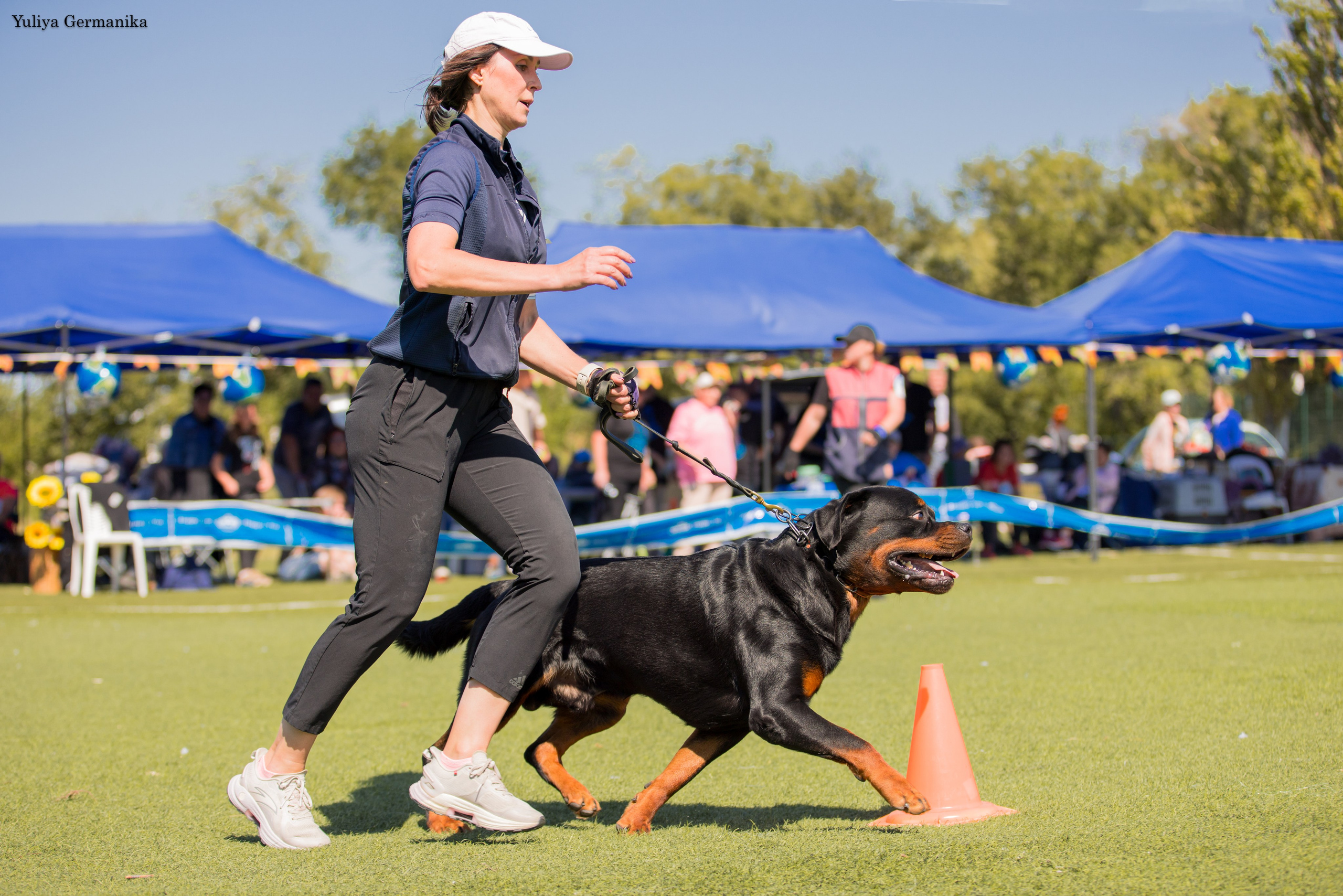 Анапа 16-17.09.2023 моно ротвейлеров. Фотограф-анималист Юлия Германика