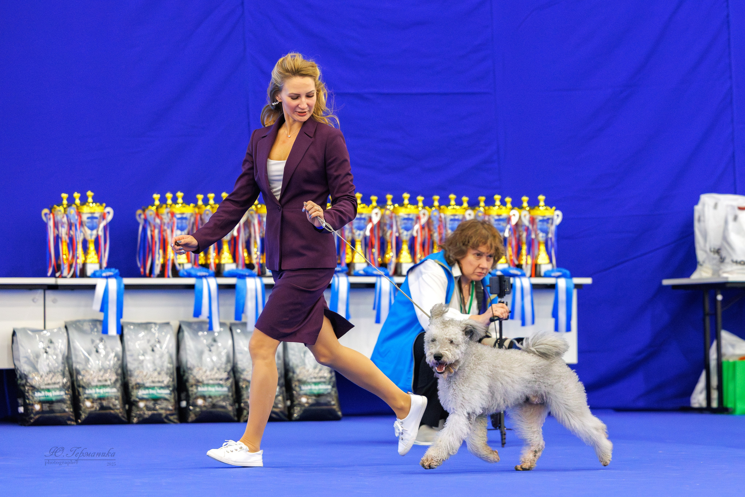 Питер 12-13.12.2025. Фотограф-анималист Юлия Германика