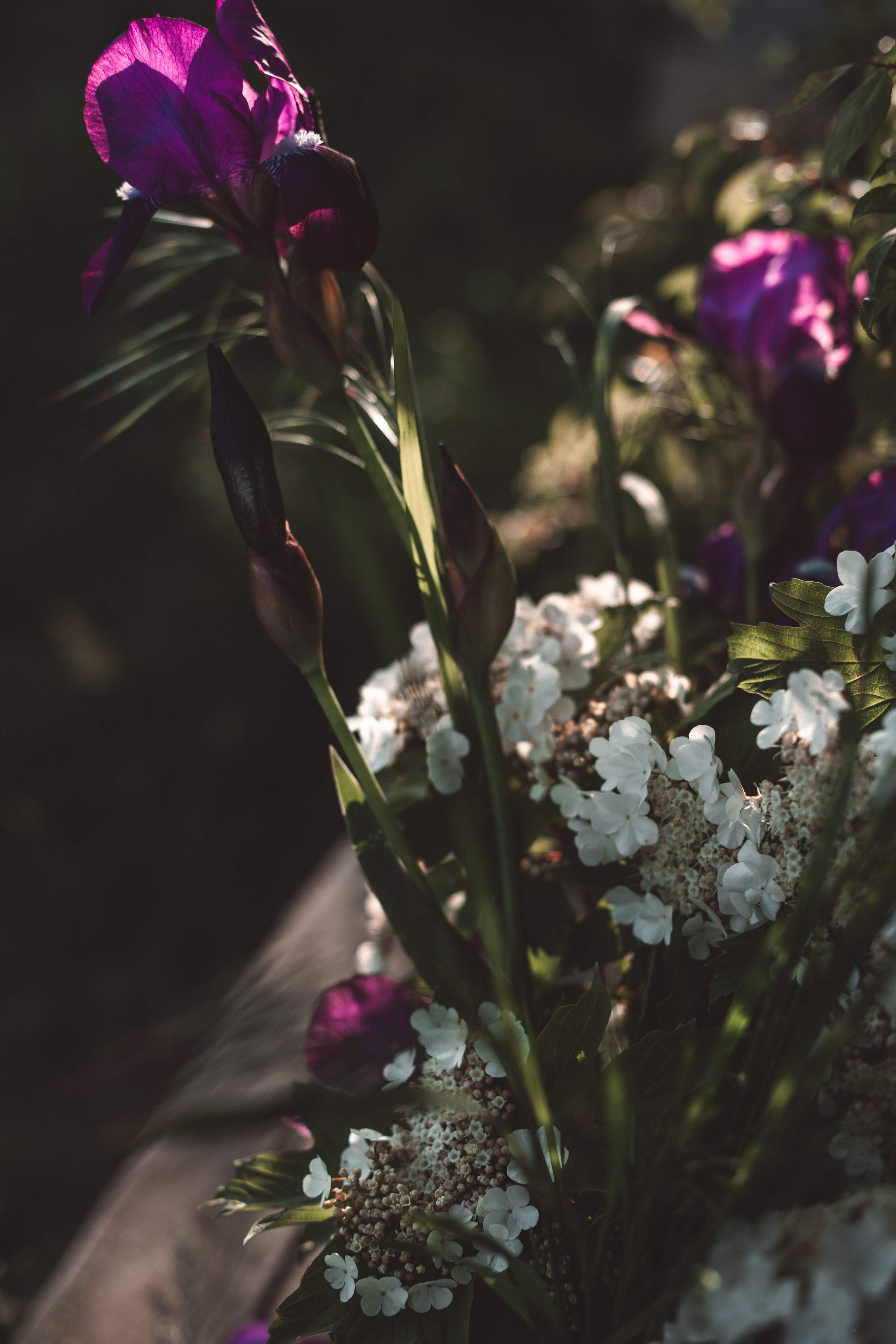 Природа. Свадебный и семейный фотограф в Краснодаре и Краснодарском крае