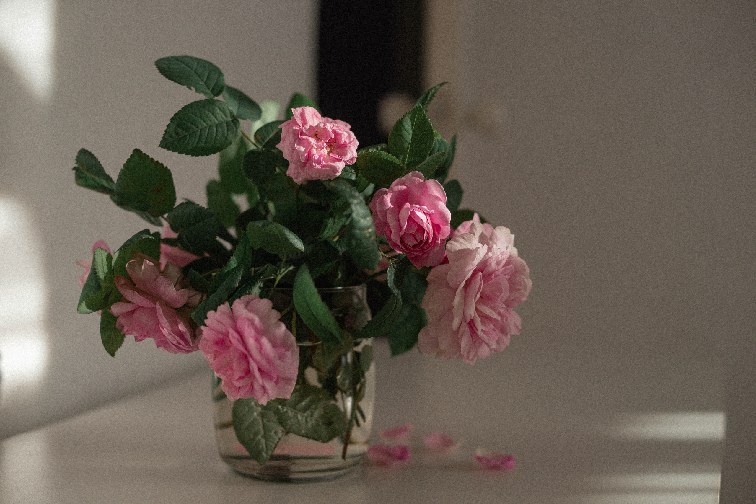 Природа. Свадебный и семейный фотограф в Краснодаре и Краснодарском крае