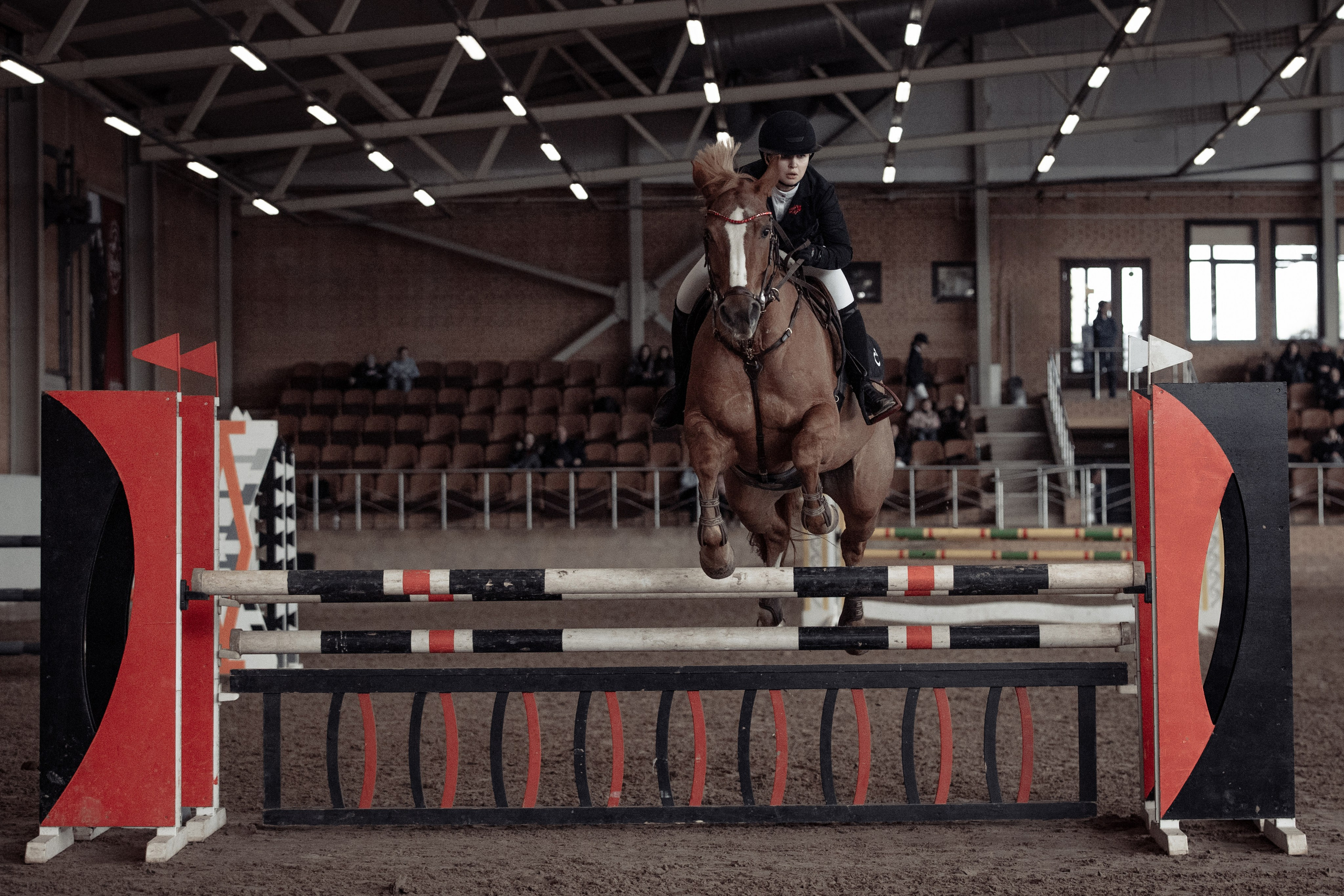 Лошади Евы Демидовой. Ева Демидова. Спортсмен по конкуру в Санкт-Петербуре