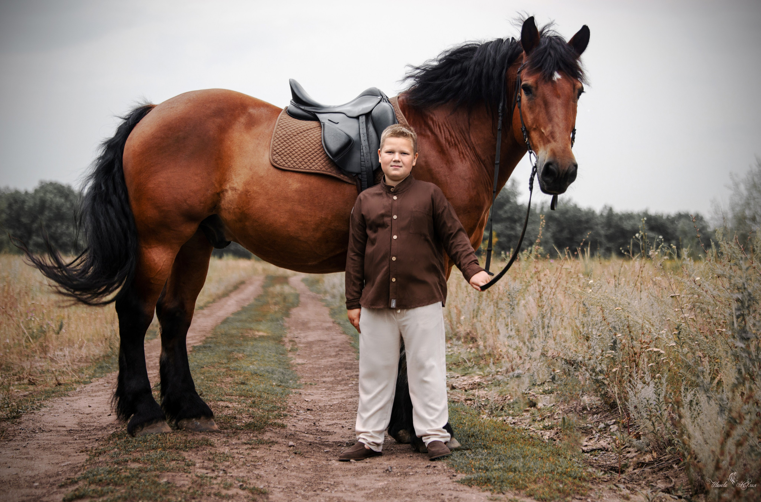 Захар и Спартак. Конный фотограф в Саратове Юлия Иванова