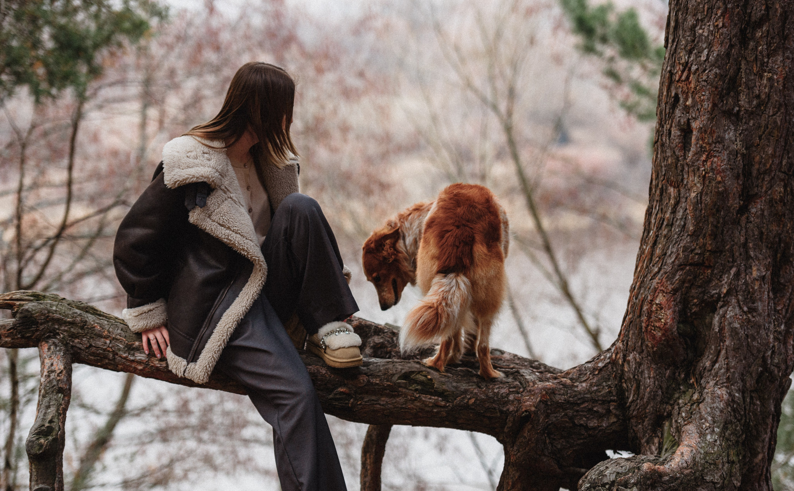 Илона и Челси. MariaGohri — Конный фотограф, анималист, Рязань