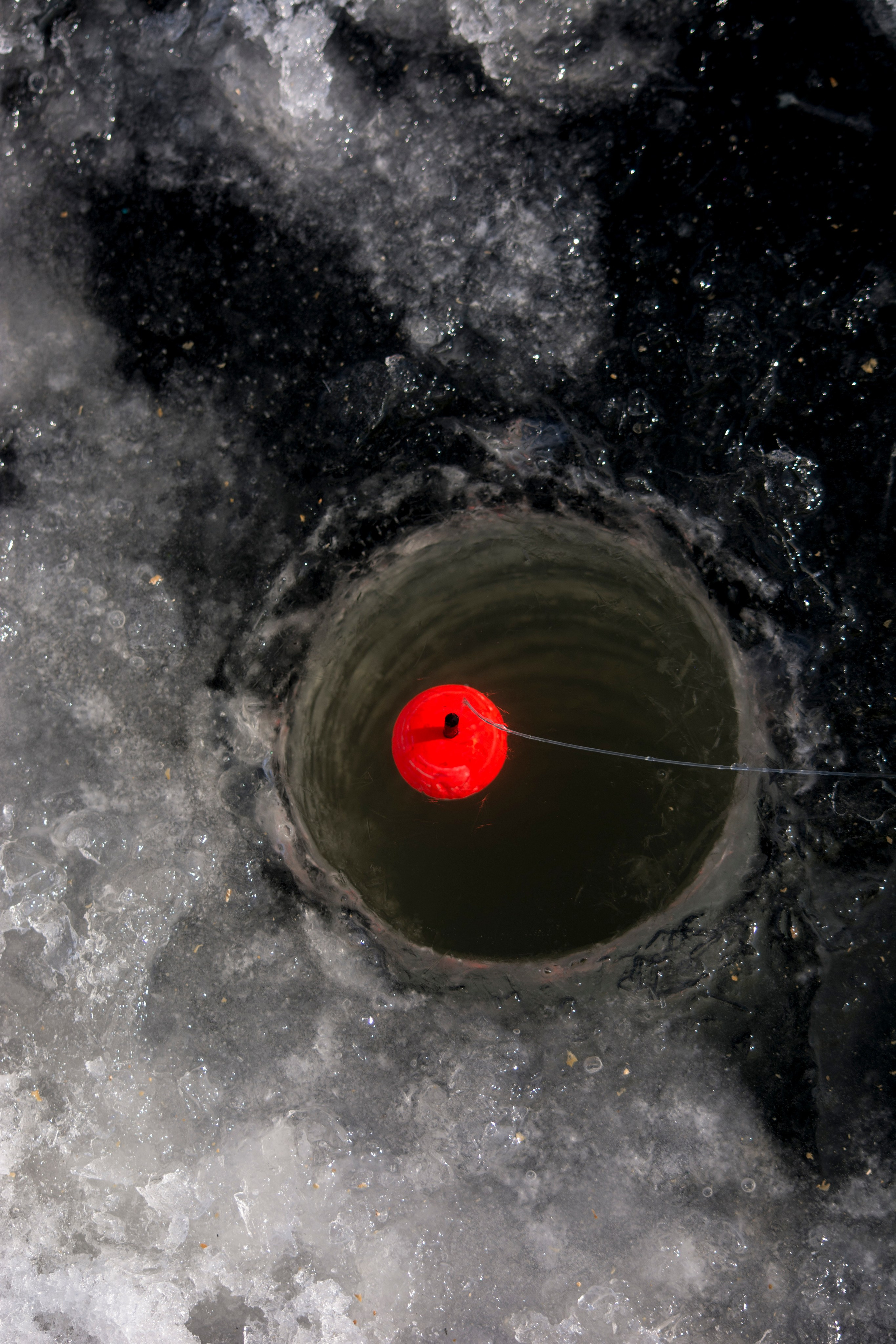 Природа в фотографии, взгляд на прекрасное через объектив фотоаппарата. Елена Волкова семейный фотограф в станице Гостагаевской города-курорта Анапа