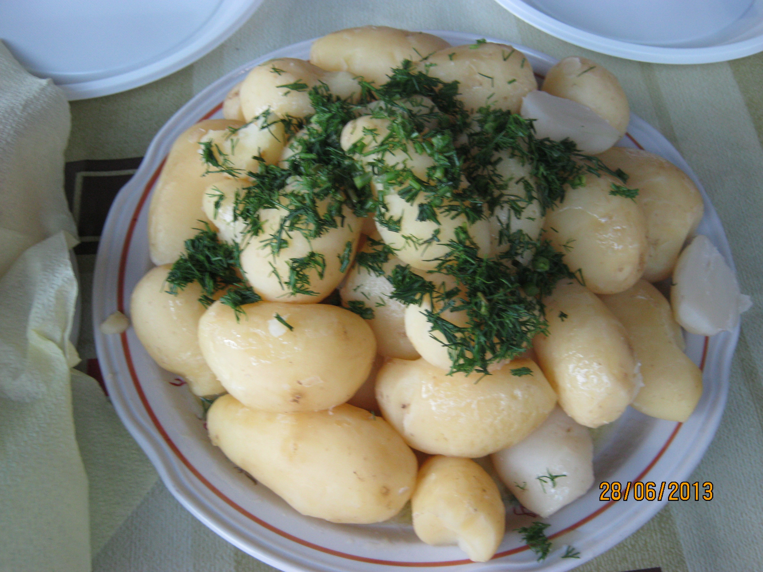 На Больничной 28.06.2013. Семейный, Свадебный фотограф СПБ Питер— Романова Екатерина