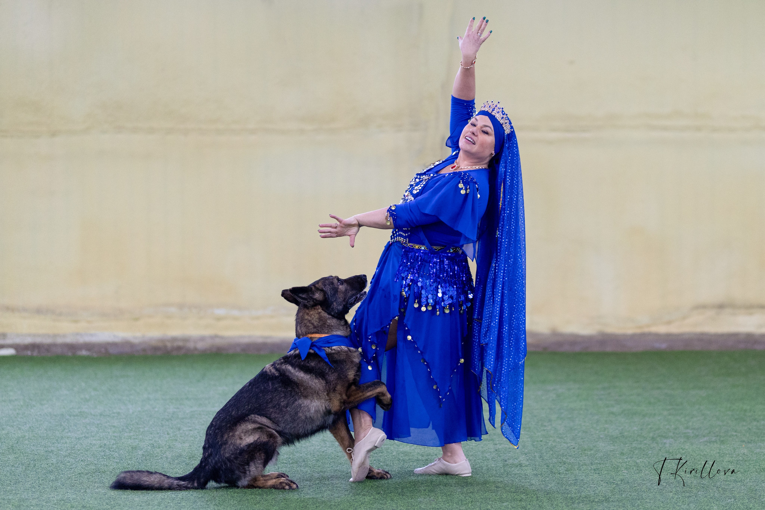 Соревнования танцы. Фотограф-анималист в Москве Кириллова Татьяна