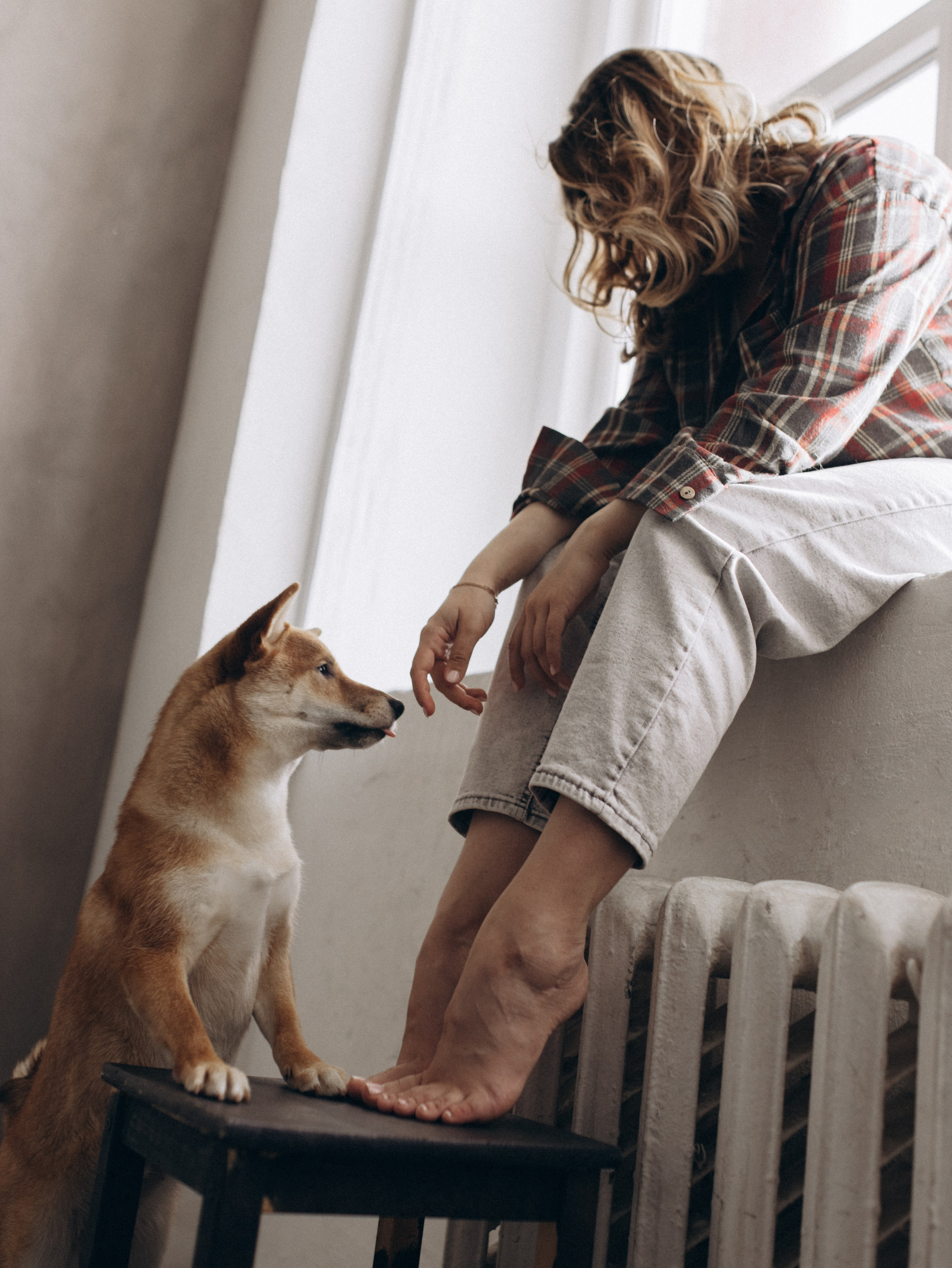 Мика и Настя. Фотограф-анималист в Москве Кириллова Татьяна