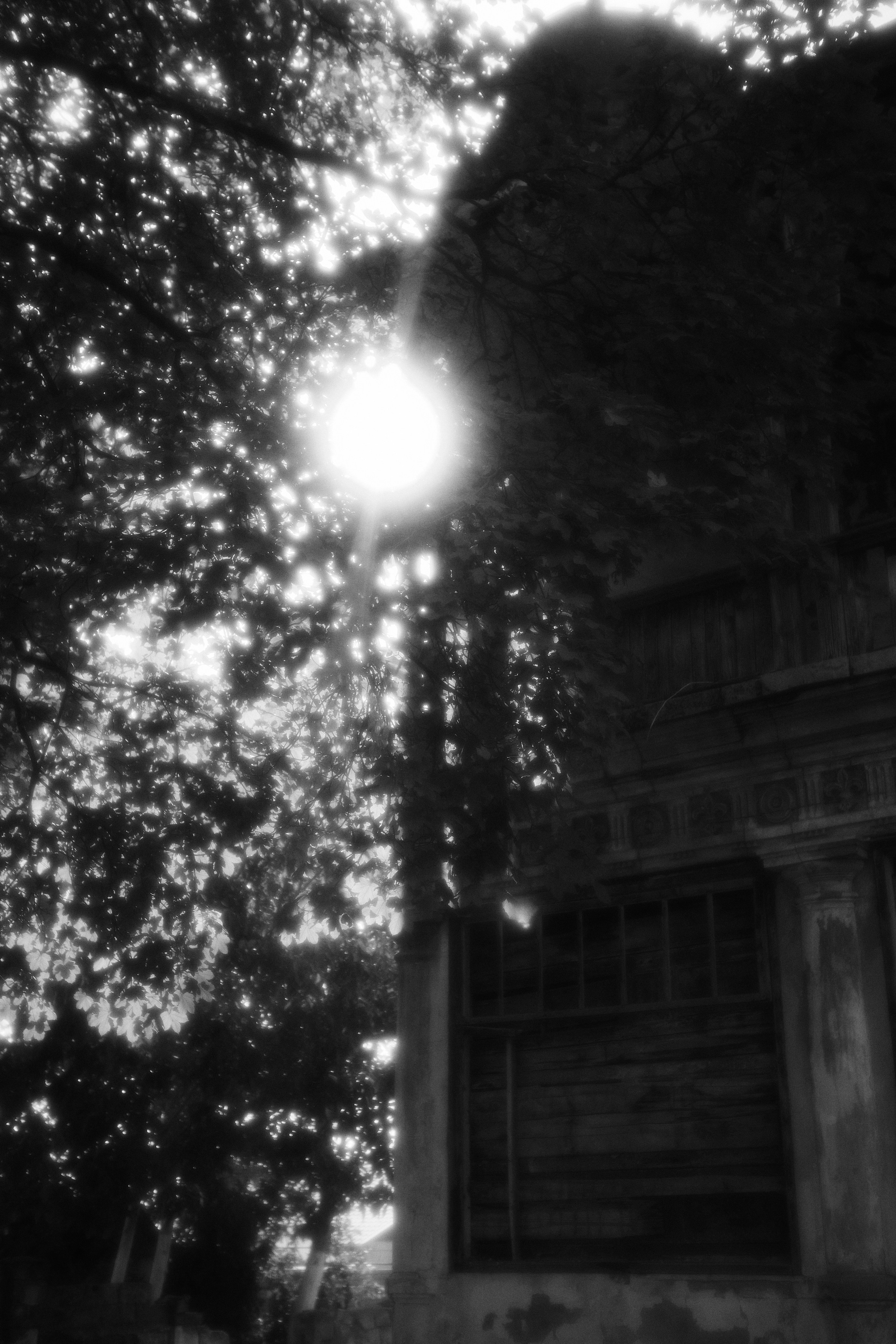 Pachadzhi Mansion. Fashion Photographer Oxana Chernomorets