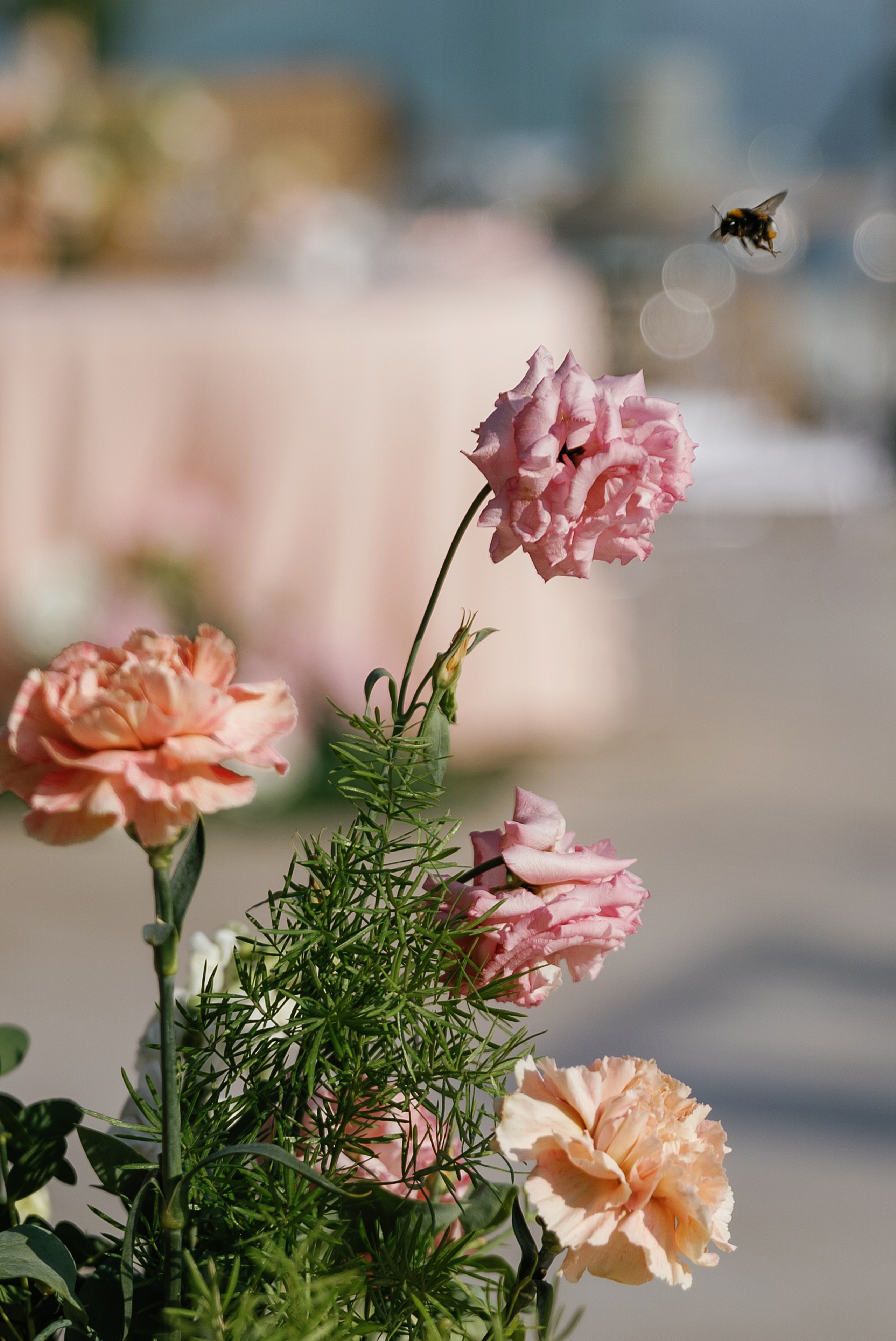 Павел и Елена. Свадебный и семейный фотограф Харольцева Наталья