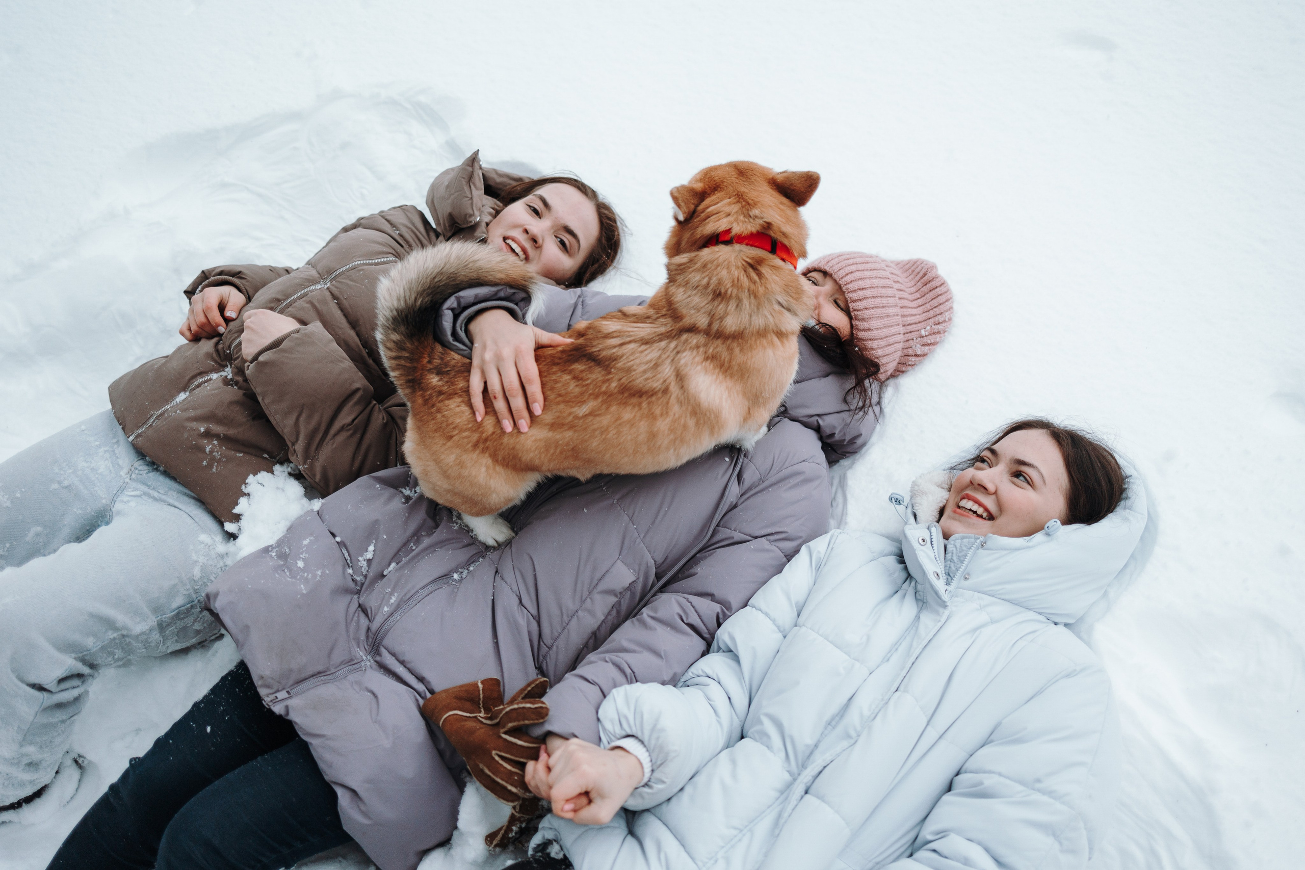 Оливка и ее семья. Фотограф — Анималист | Санкт-Петербург