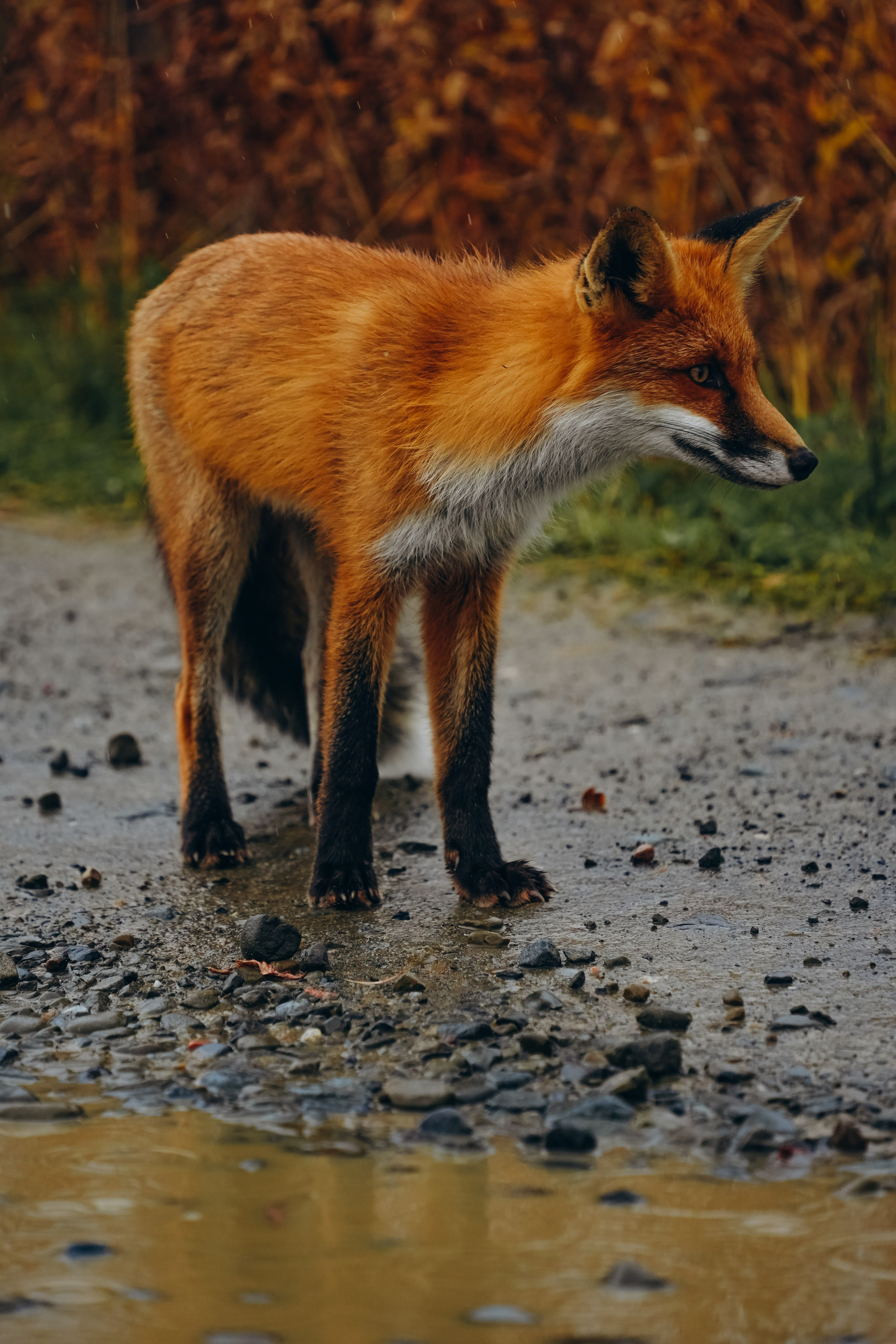 СЕВЕР. Event фотограф Степанова Александра