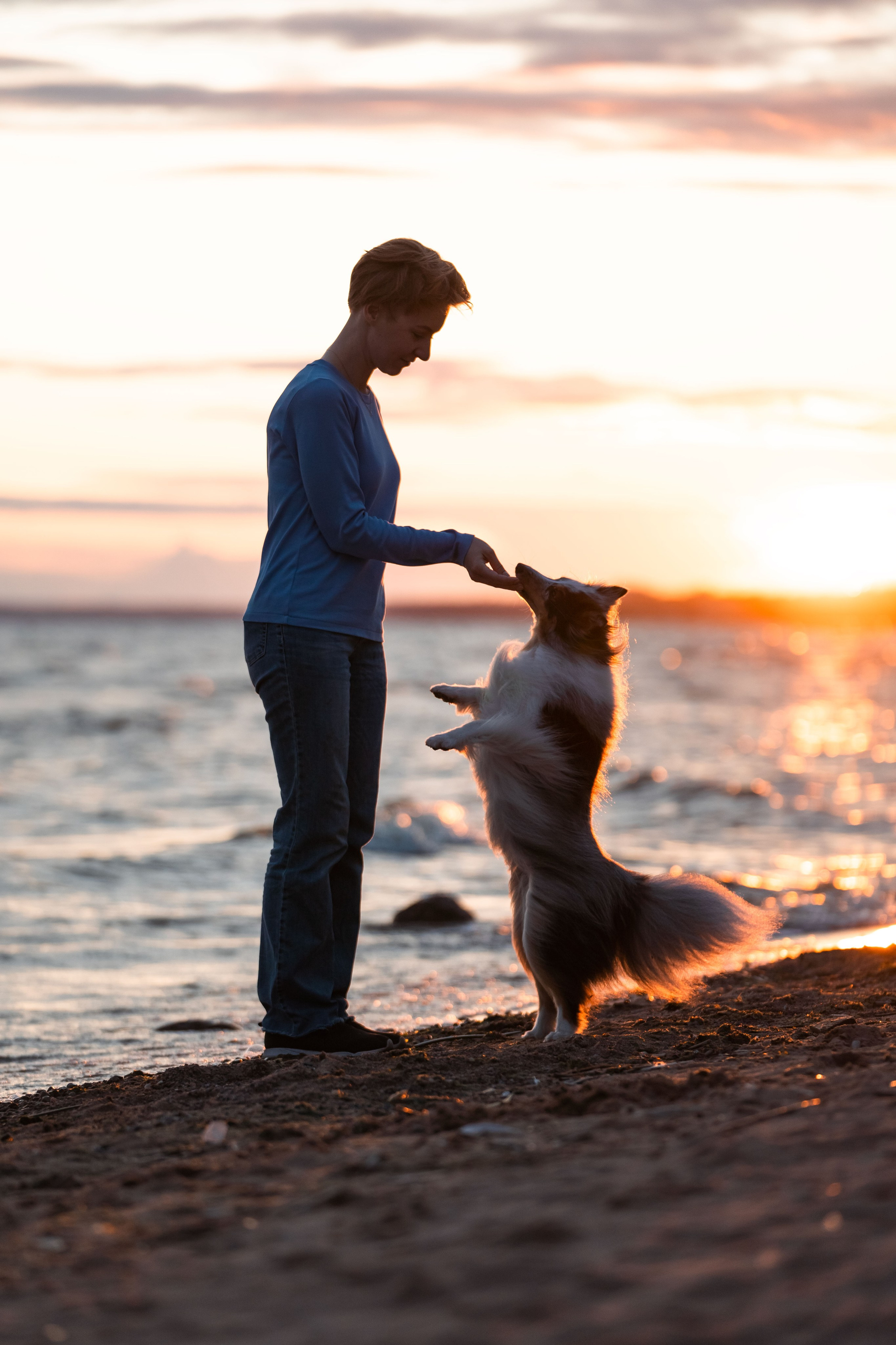 Лесная Элис. Фотограф анималист