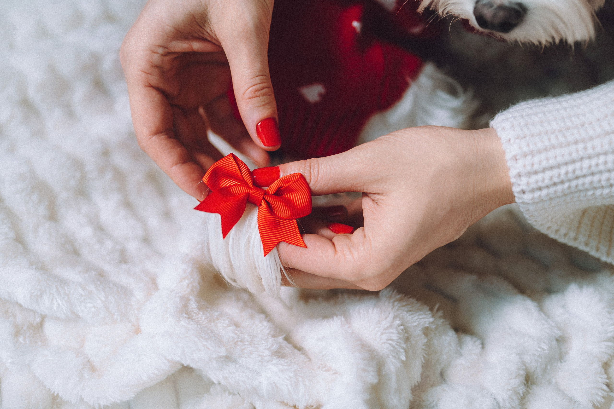 Констанция и Молли