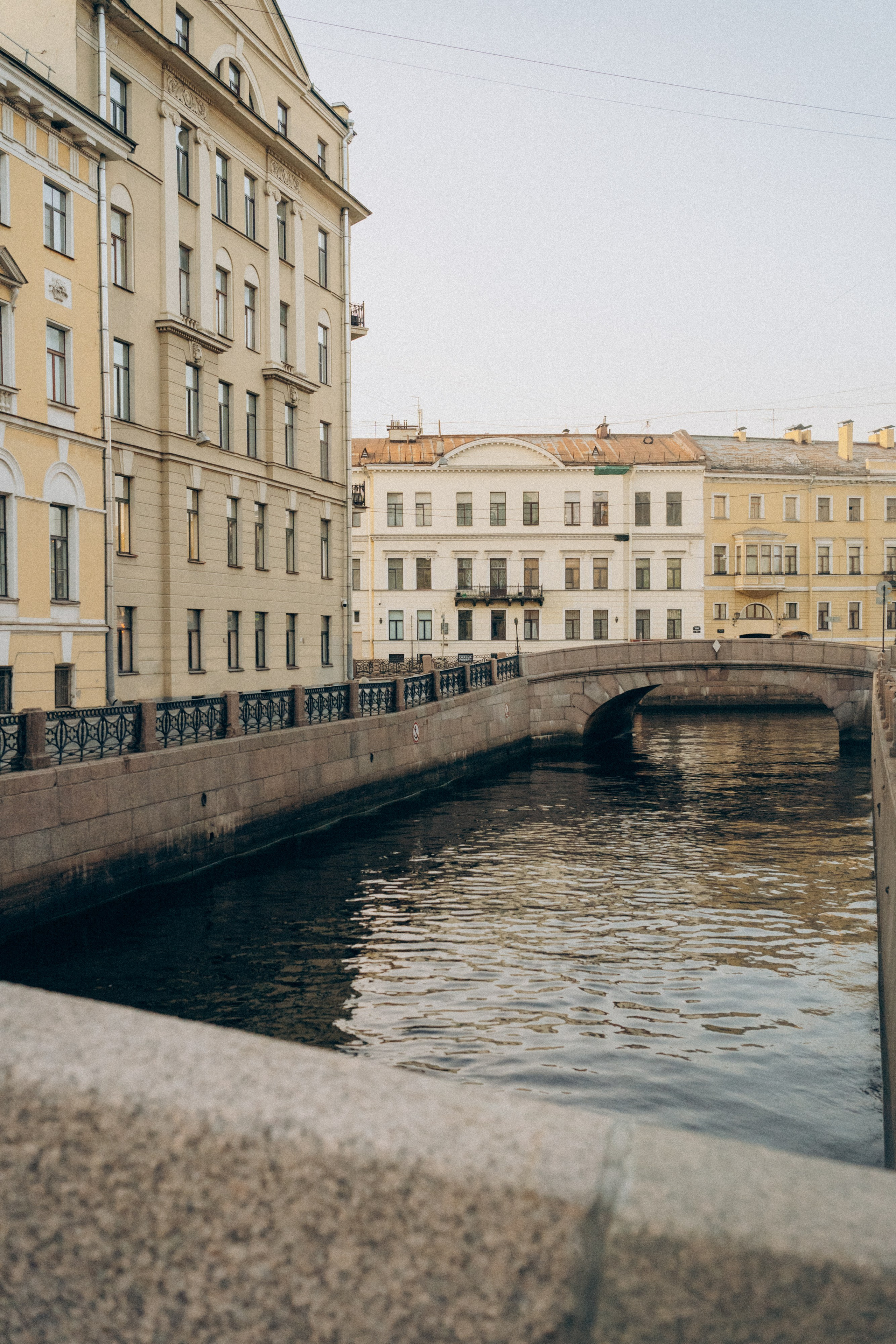 Таня, Дима и Чейси. Фотограф анималист в Москве и Санкт-Петербурге Свиридова Анна