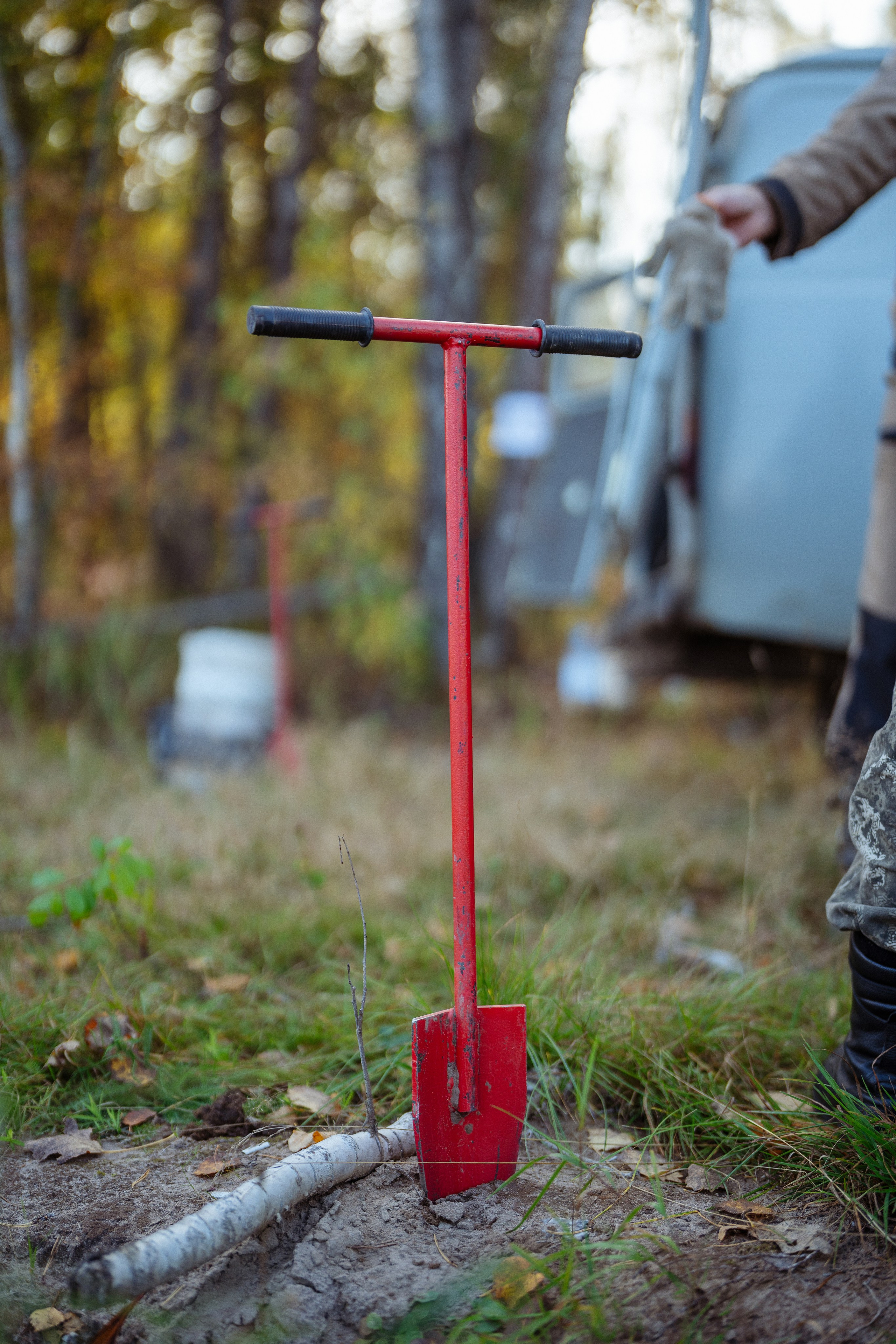 СБЕР · ЭКА · Посадка сеянцев. Владимир Вершинин, тот самый свадебный видеограф
