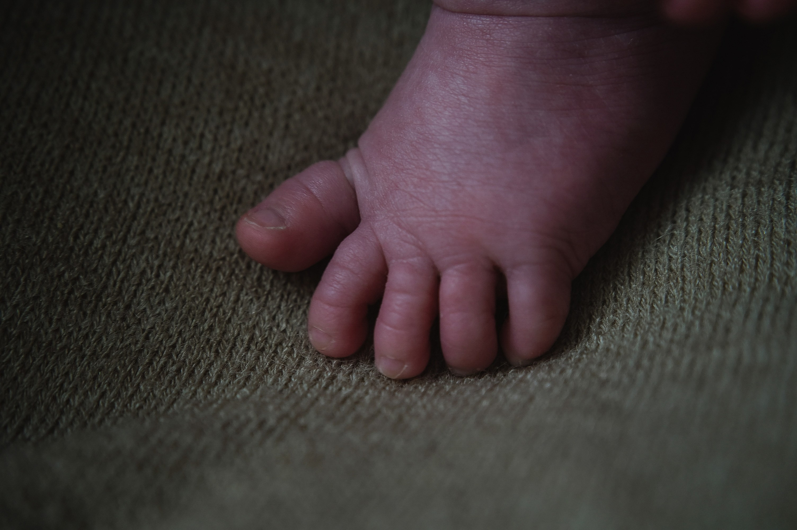 Давид. 04.02.2026. Фотограф СЕМЬИ и ДЕТСТВА в Краснодаре и Краснодарском крае Екатерина Москат