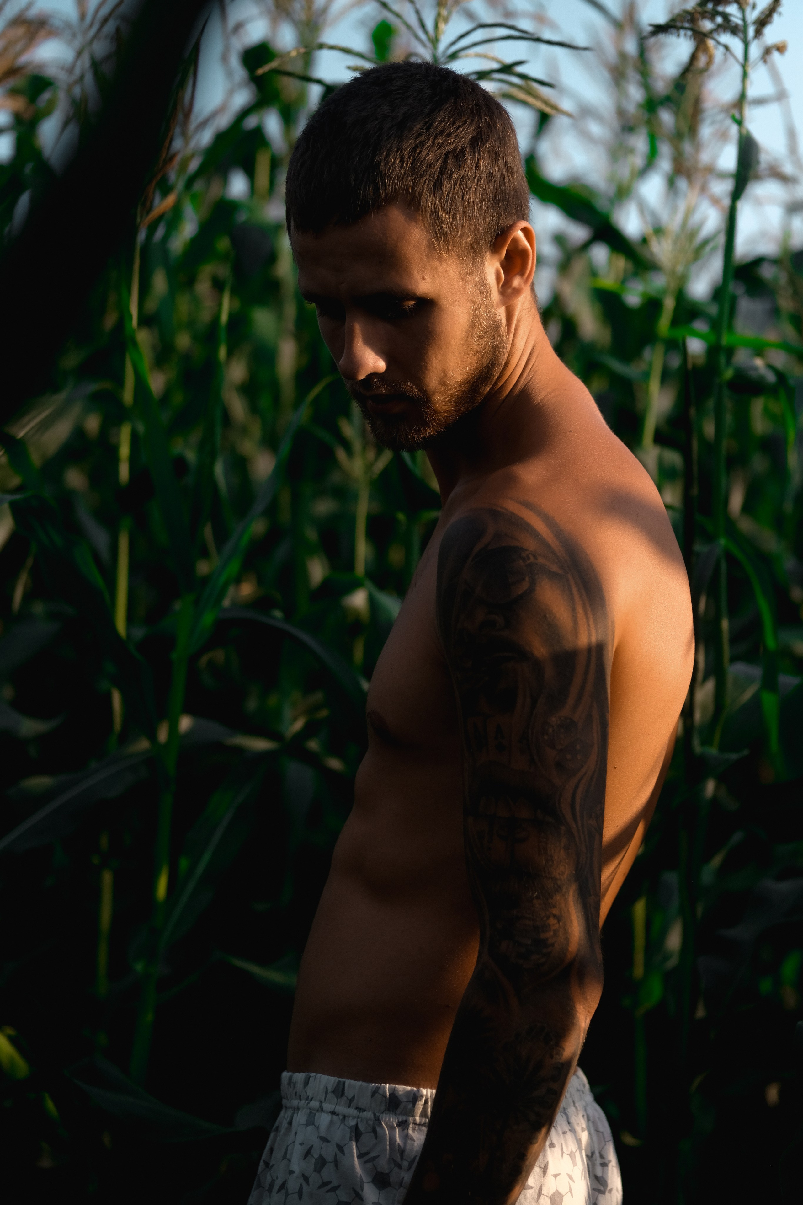 Голый мужчина в кукурузном поле. Фотограф и контентмейкер Света Лето | Москва, МО