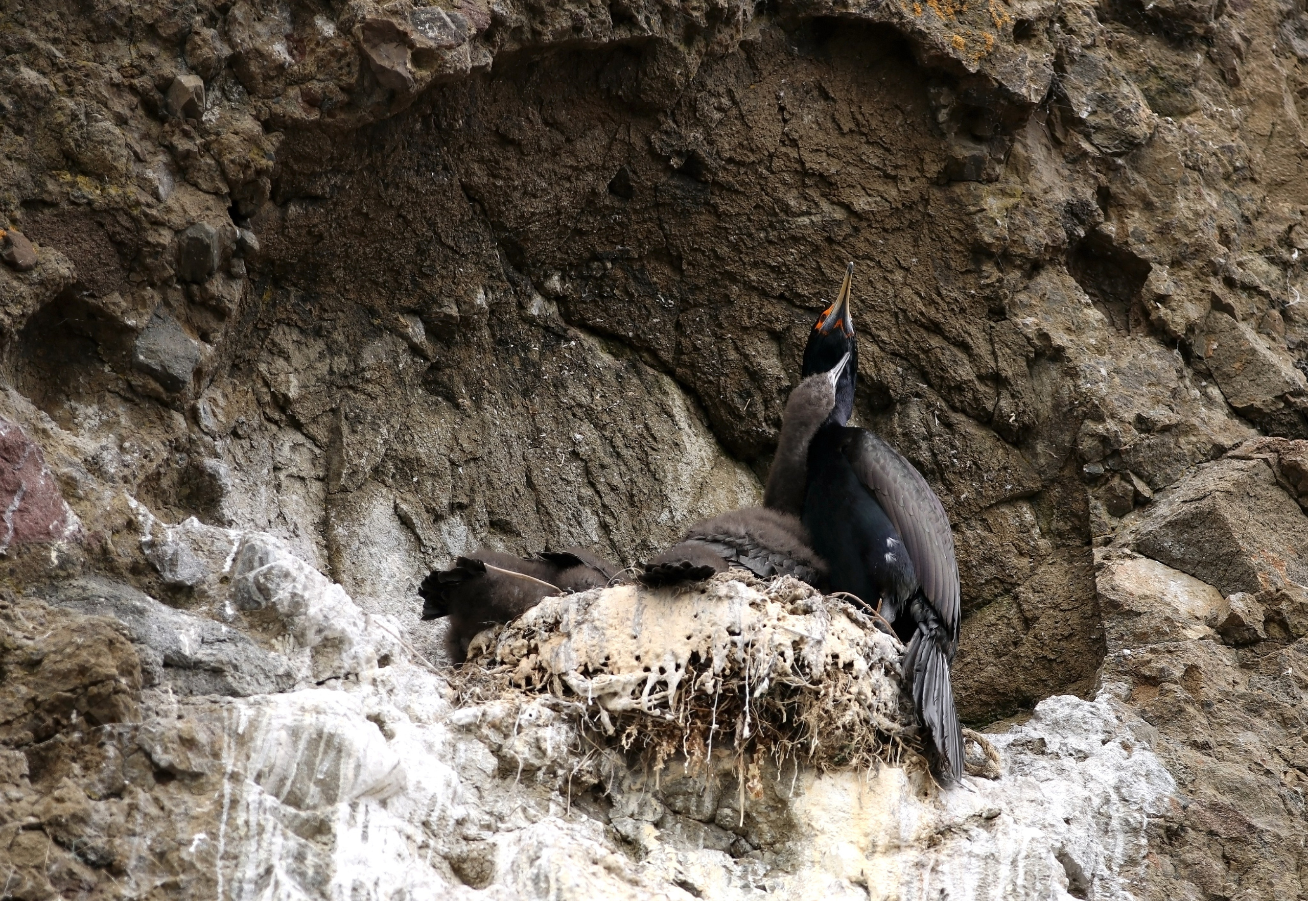 Камчатка и о. Парамушир. Июль 2024. Путешественник-фотограф из Санкт-Петербурга Татьяна Свистулина