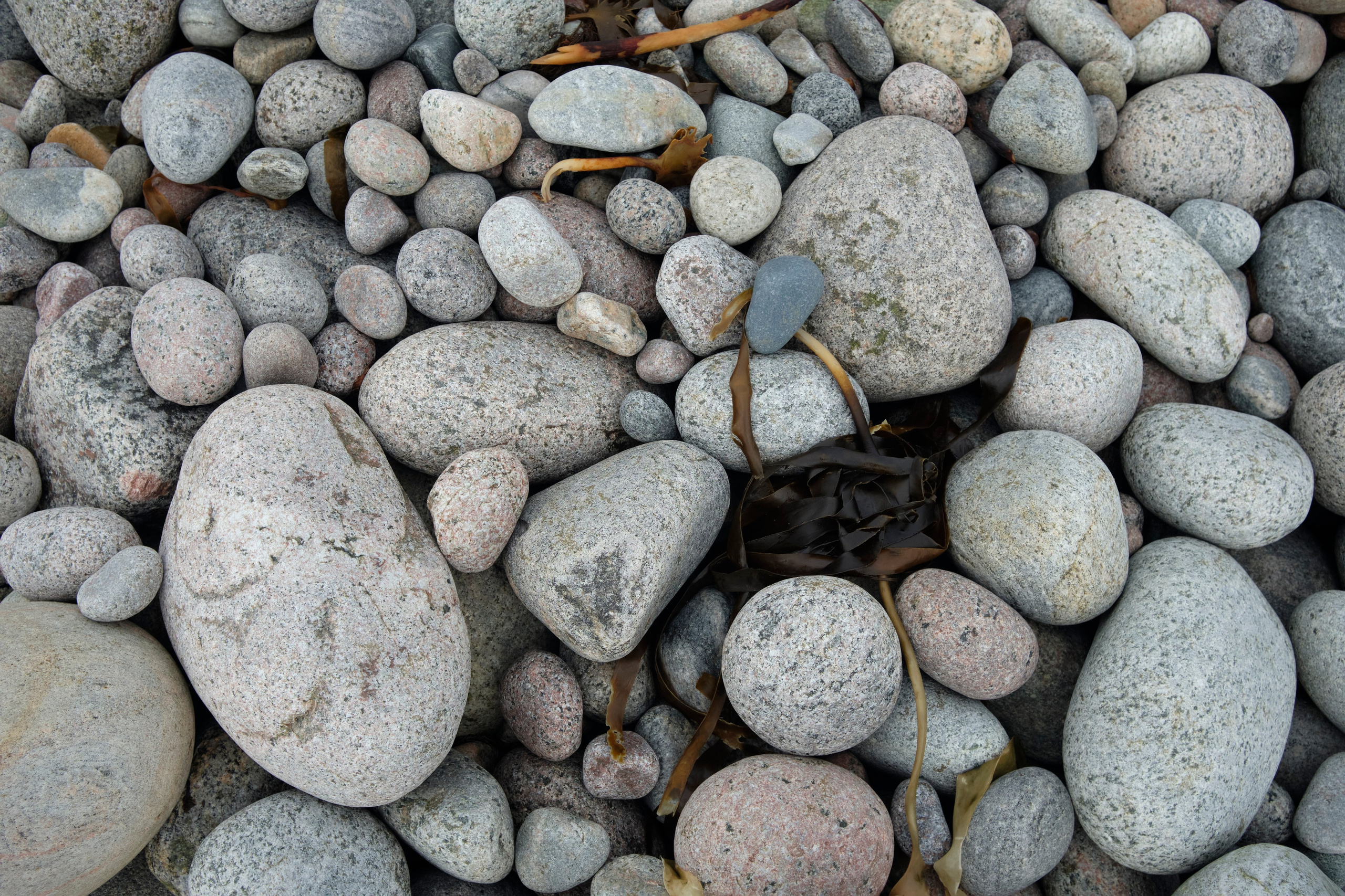 Путешествие в Териберку. Елена Павленко. Фотограф. Москва