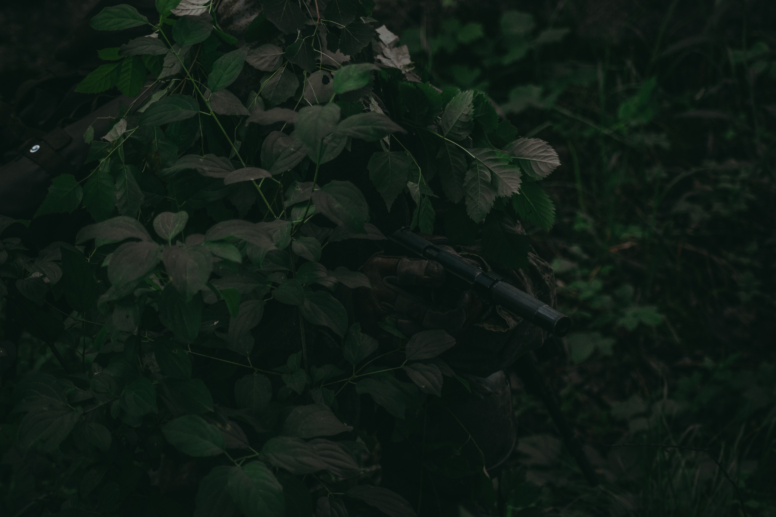 Никита П. (Лесной Массив). — Digital Noise —