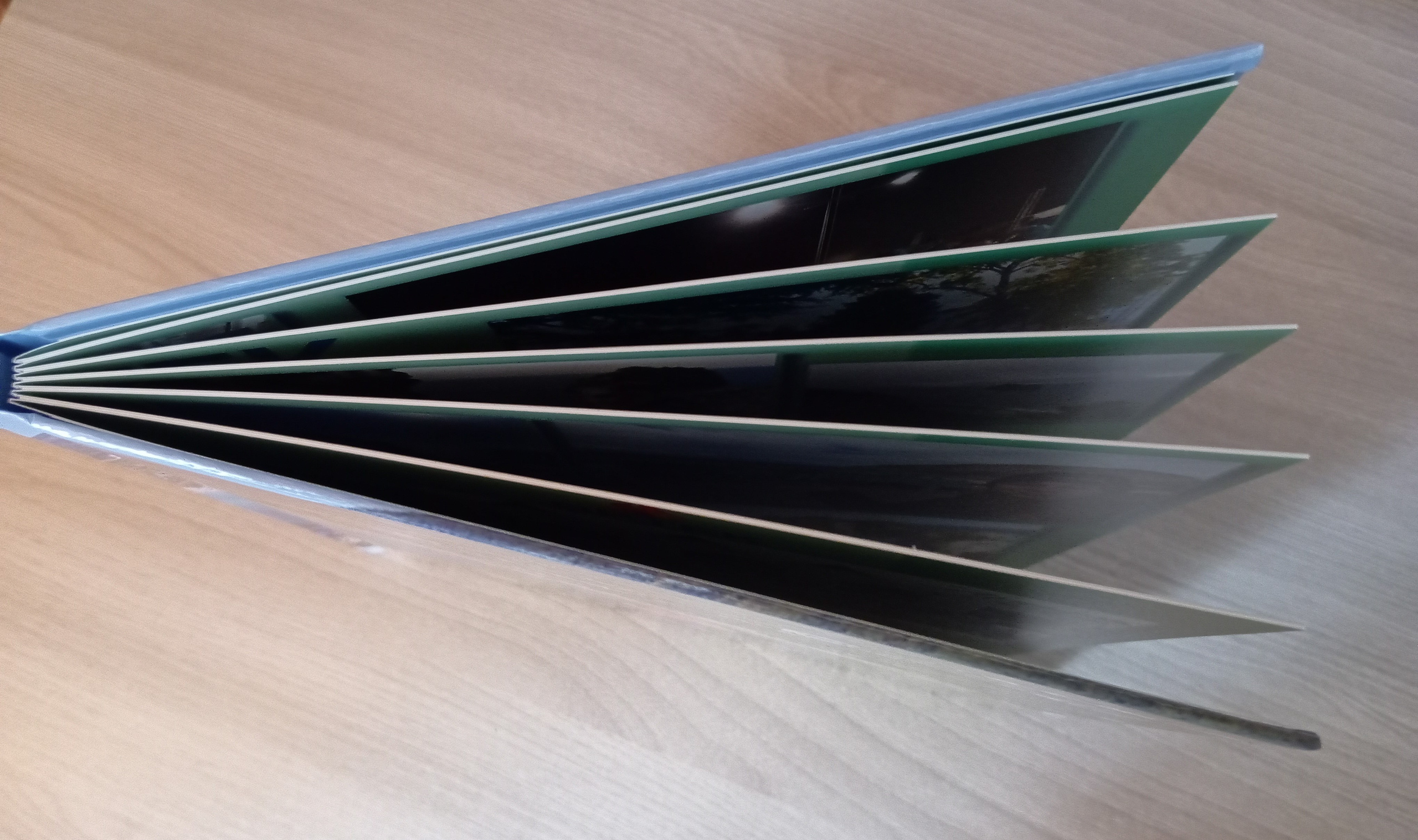 Артековский альбом для Марата. Семейный детский фотограф в Красноярске Скачкова Юлия