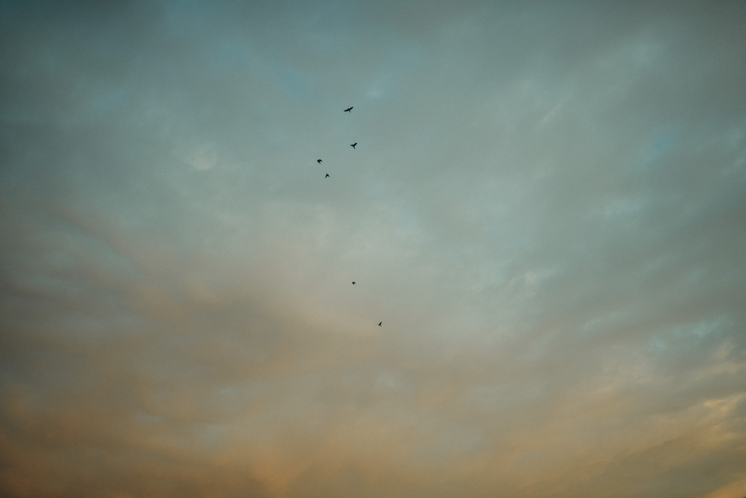 Sunset in Bergamo. Фотограф Василиса Гордеева