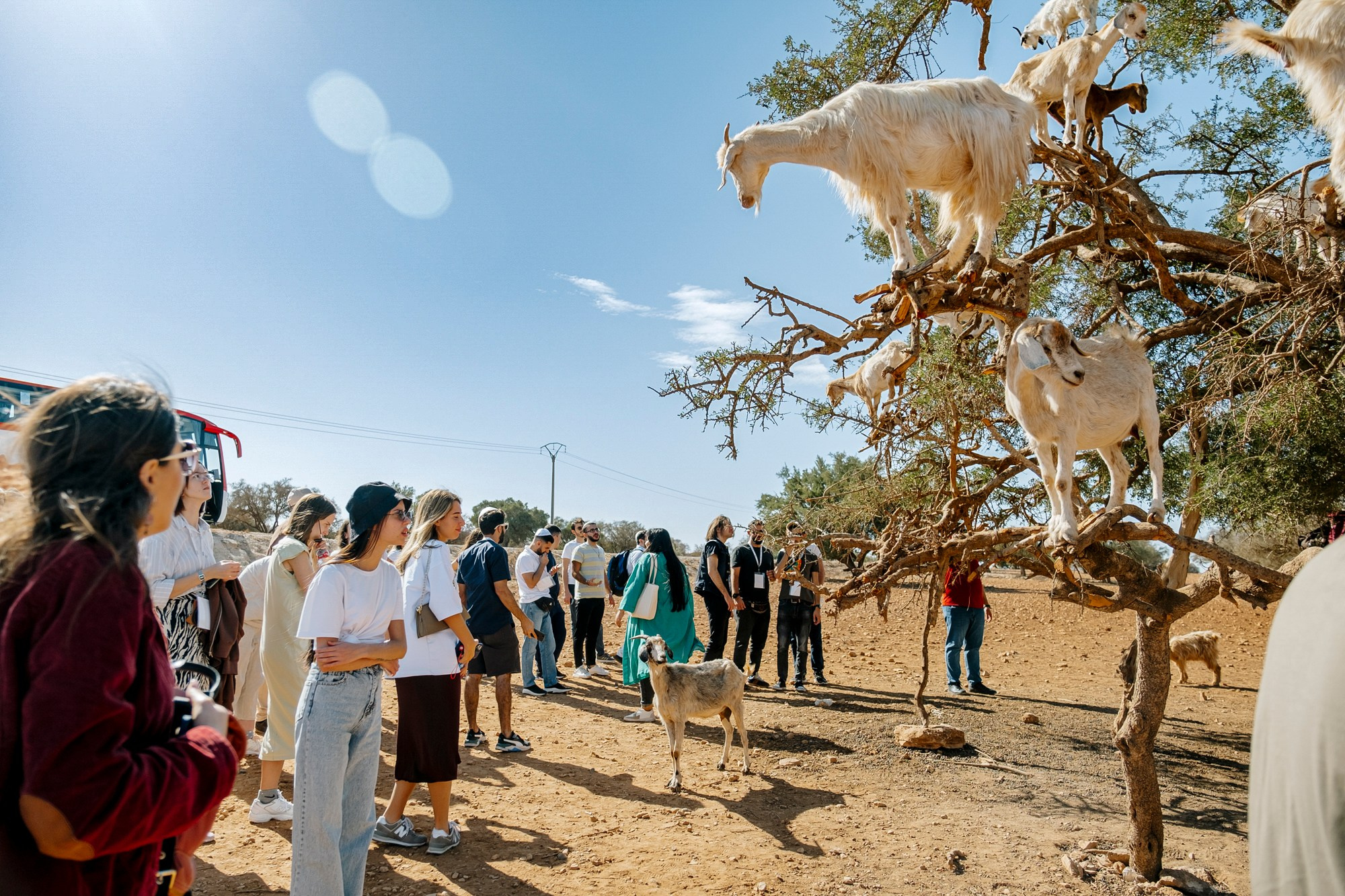 Марокко | город Эссуэйра. #фотокаквкино | Фотографирую людей