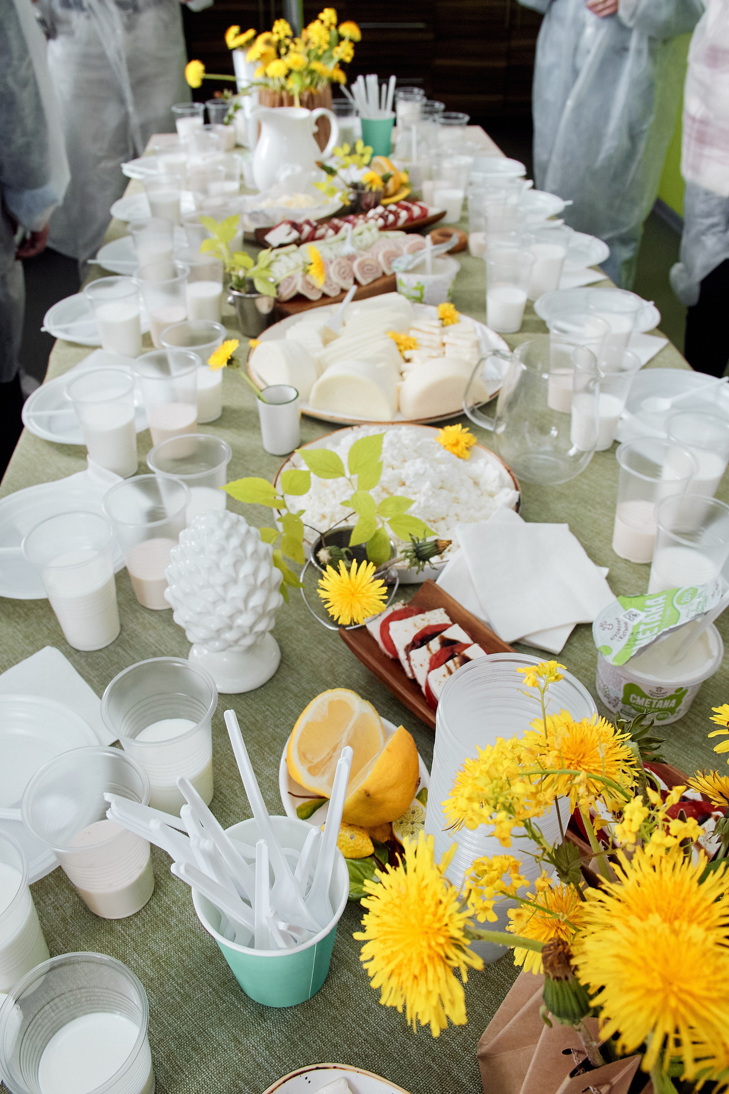 Экскурсия «Агроферма-Катынь». Фотограф в Смоленске Ася Польшина