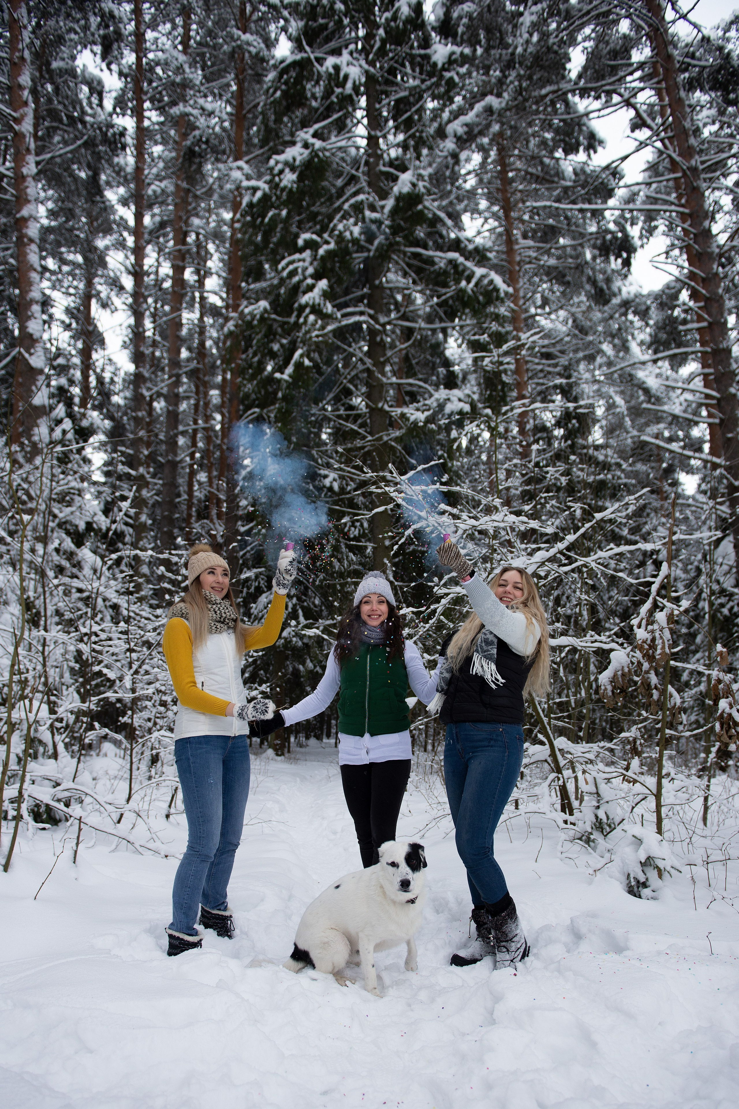 Зимний лес прекрасен. Творческий фотограф Вологда