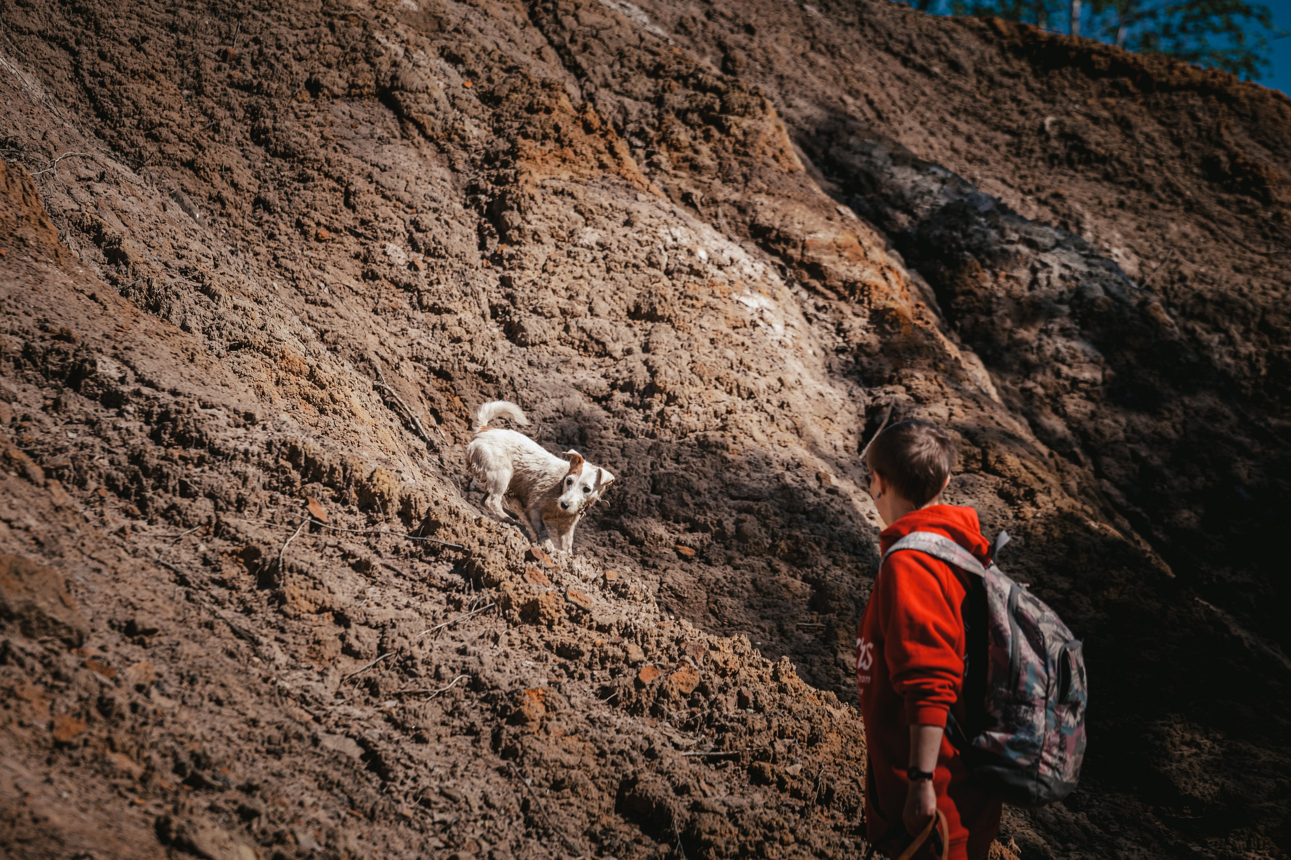 Кондуки. Фотограф-анималист Татьяна Степанова