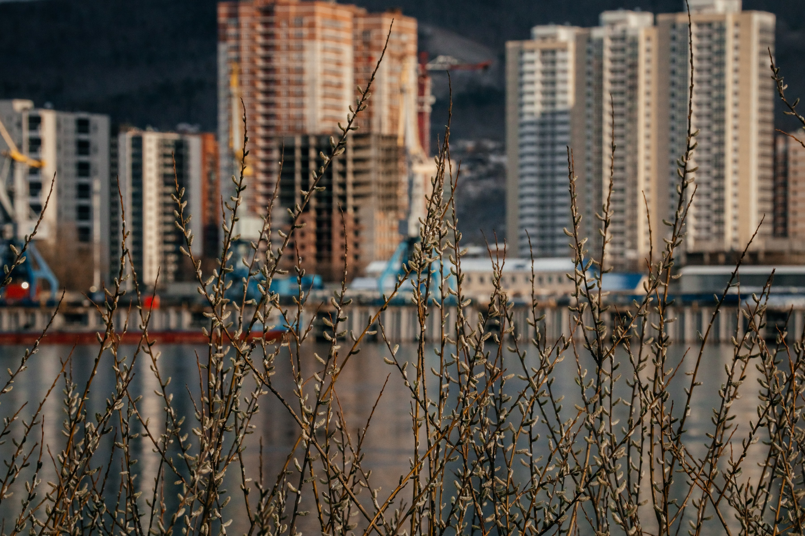 Город. Фотограф в Красноярске Оксана Корчагина