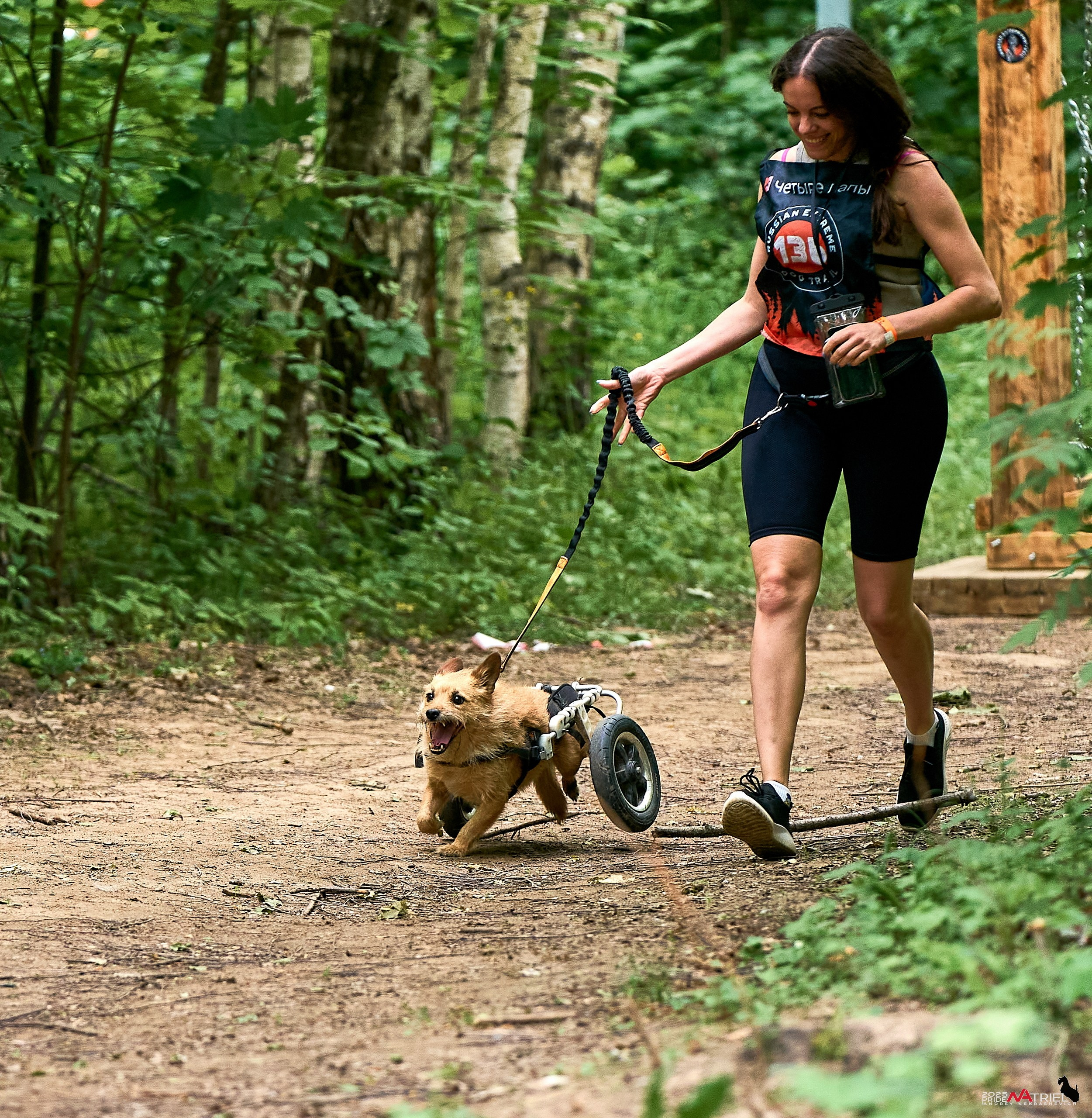 Russian Extreme Dog Trail — 2025