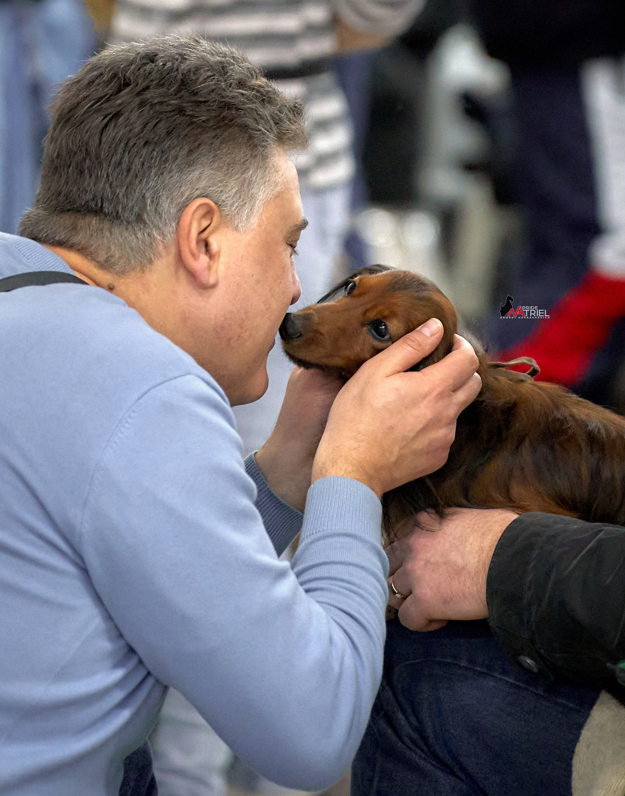 Собаки и Люди — галерея NATRIEL