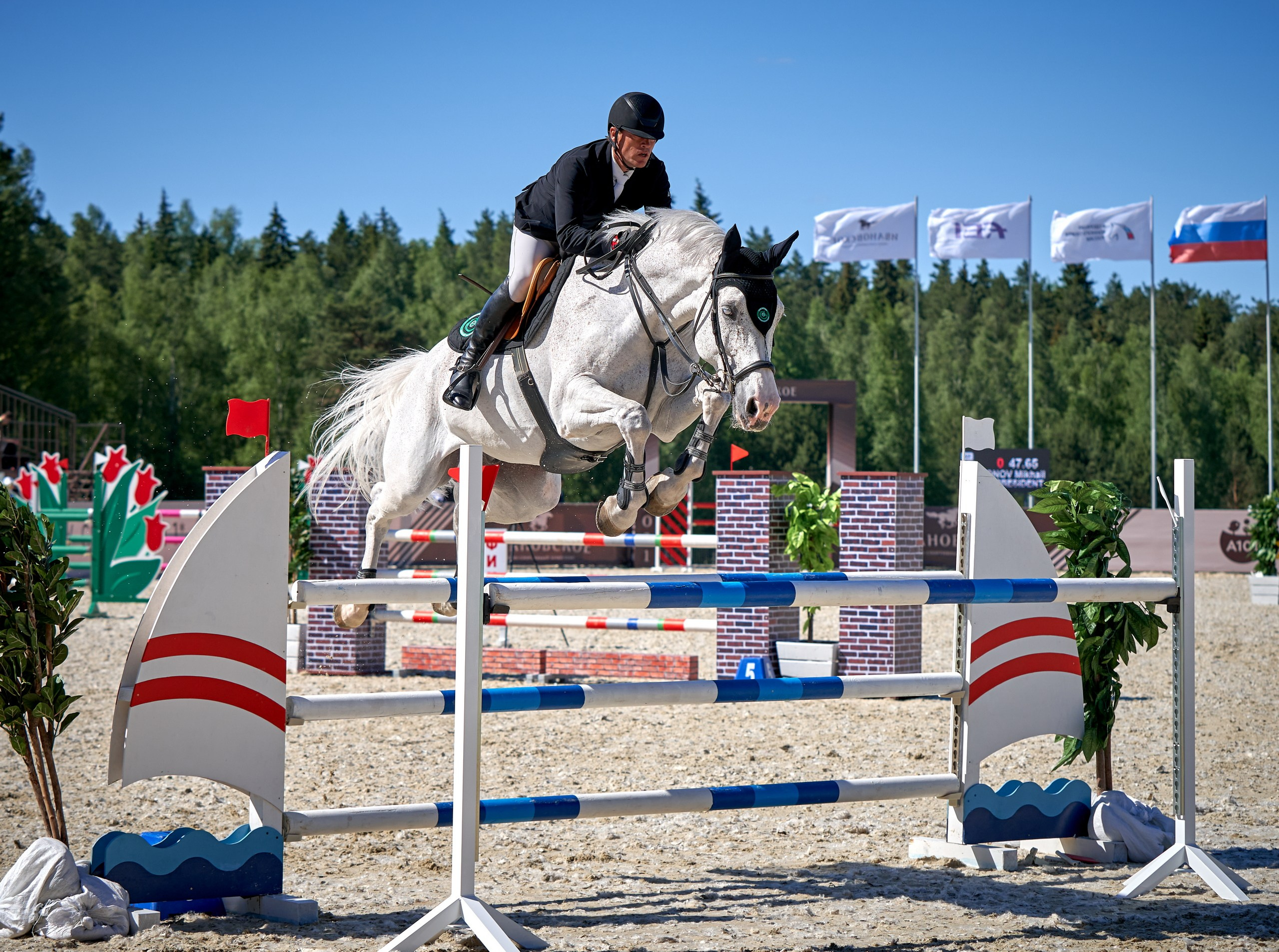 Соревнования на лошадях — галерея NATRIEL