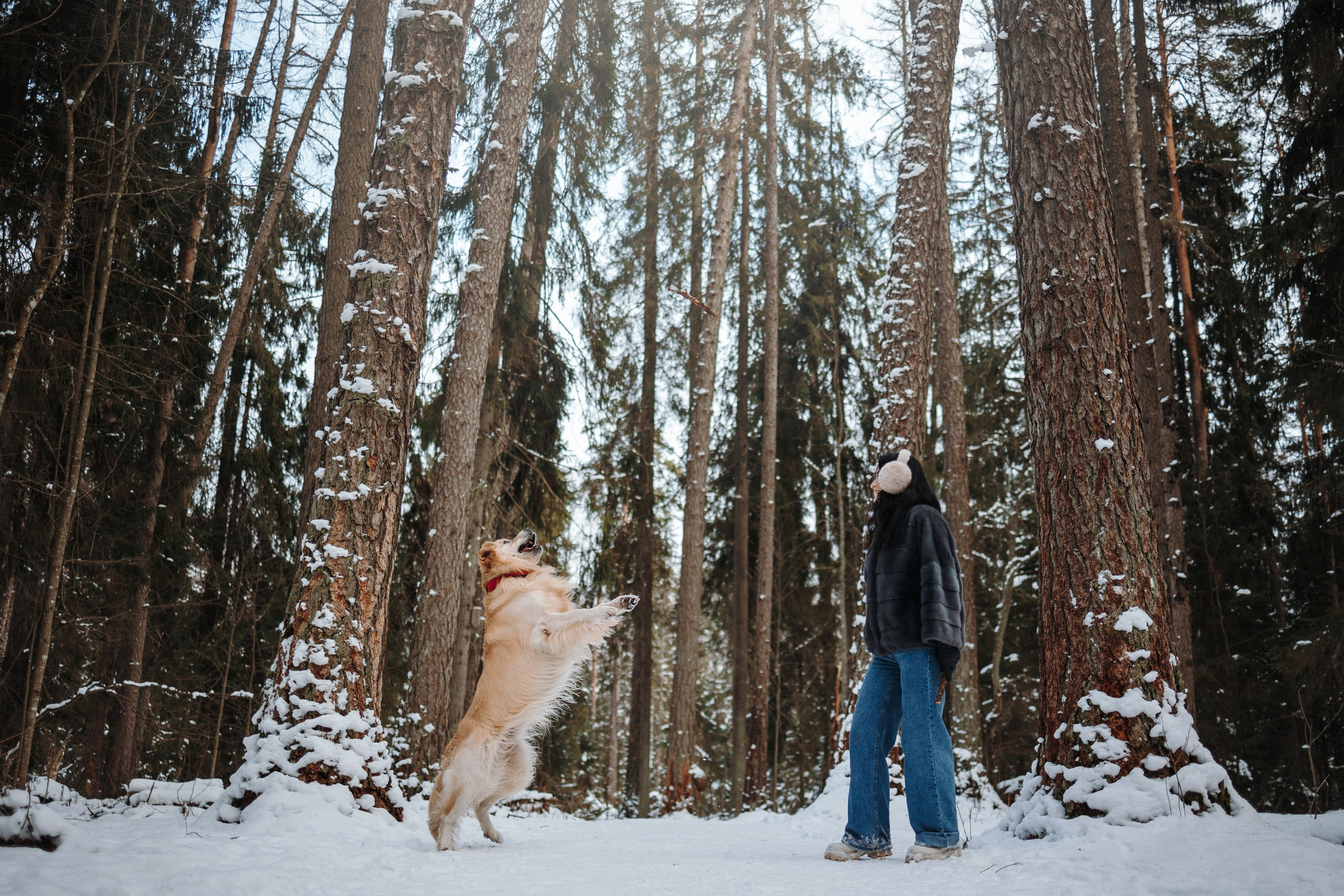 Вика и Лёва. Фотограф — Анималист | Санкт-Петербург