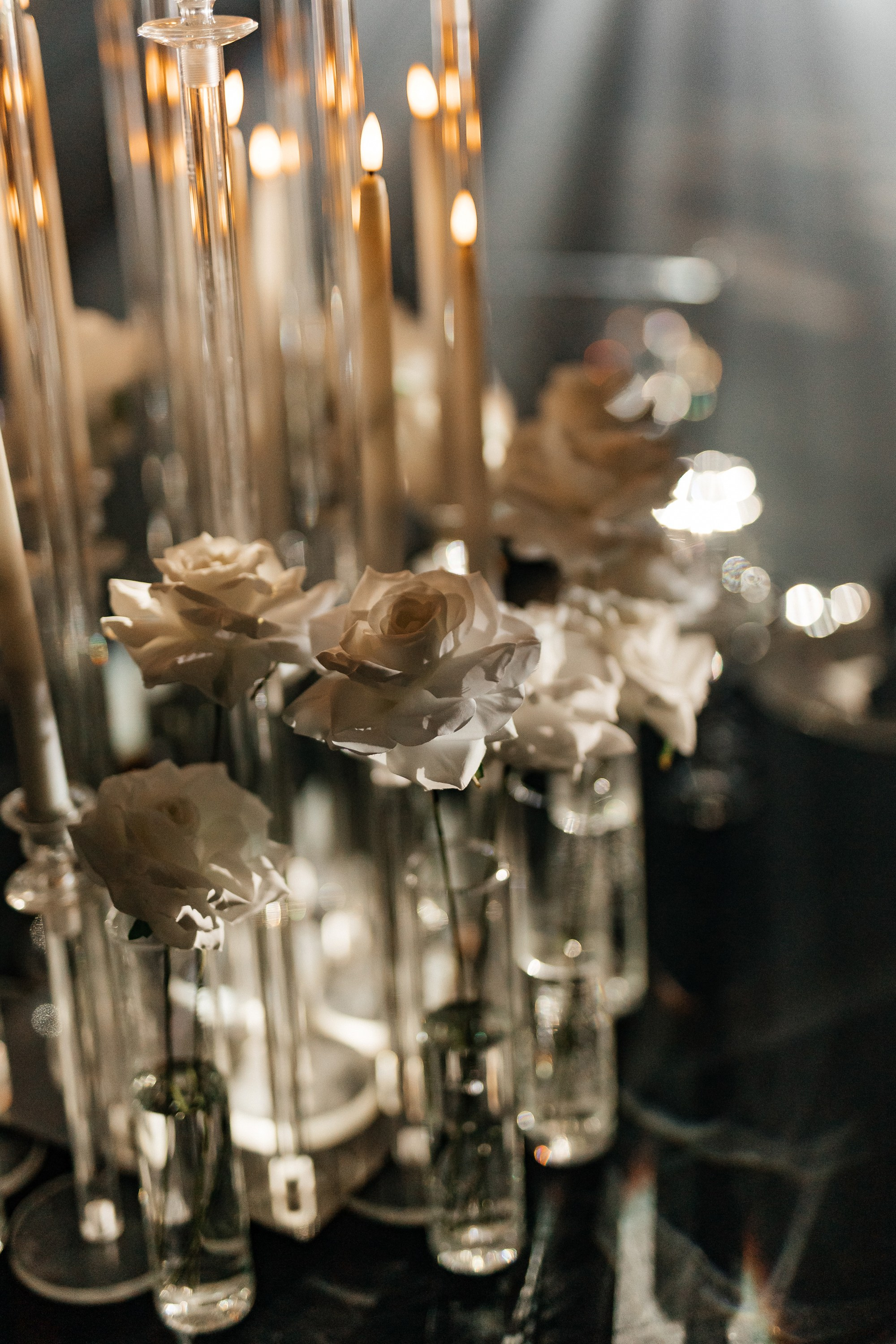 D&S. Фотограф Таганрог Хребет София